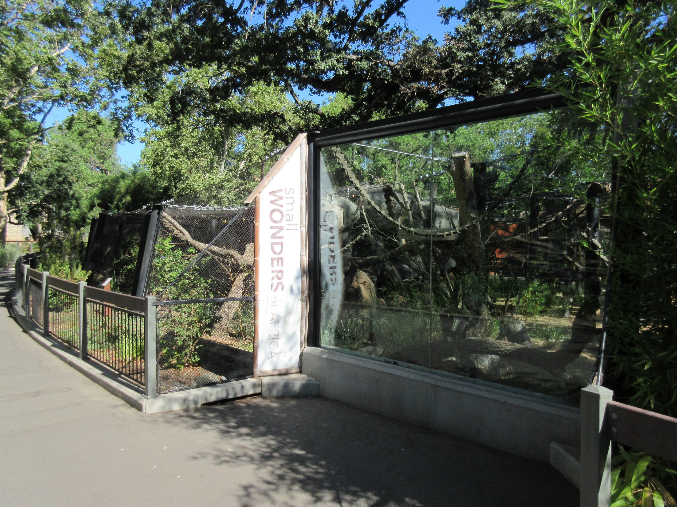 Small Wonders (New in 2014) - Wolf's Guenon Exhibit