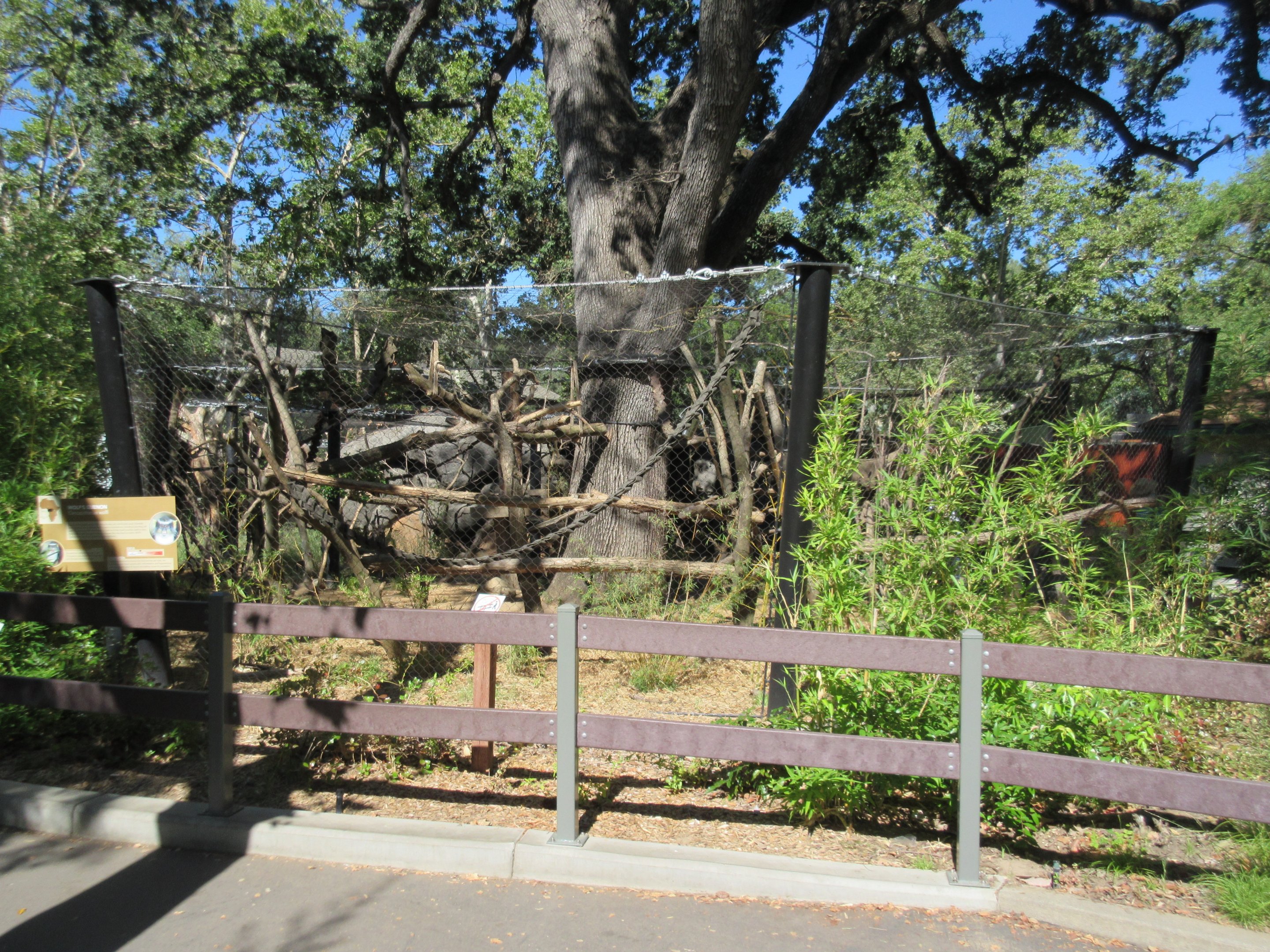Small Wonders (New in 2014) - Wolf's Guenon Exhibit