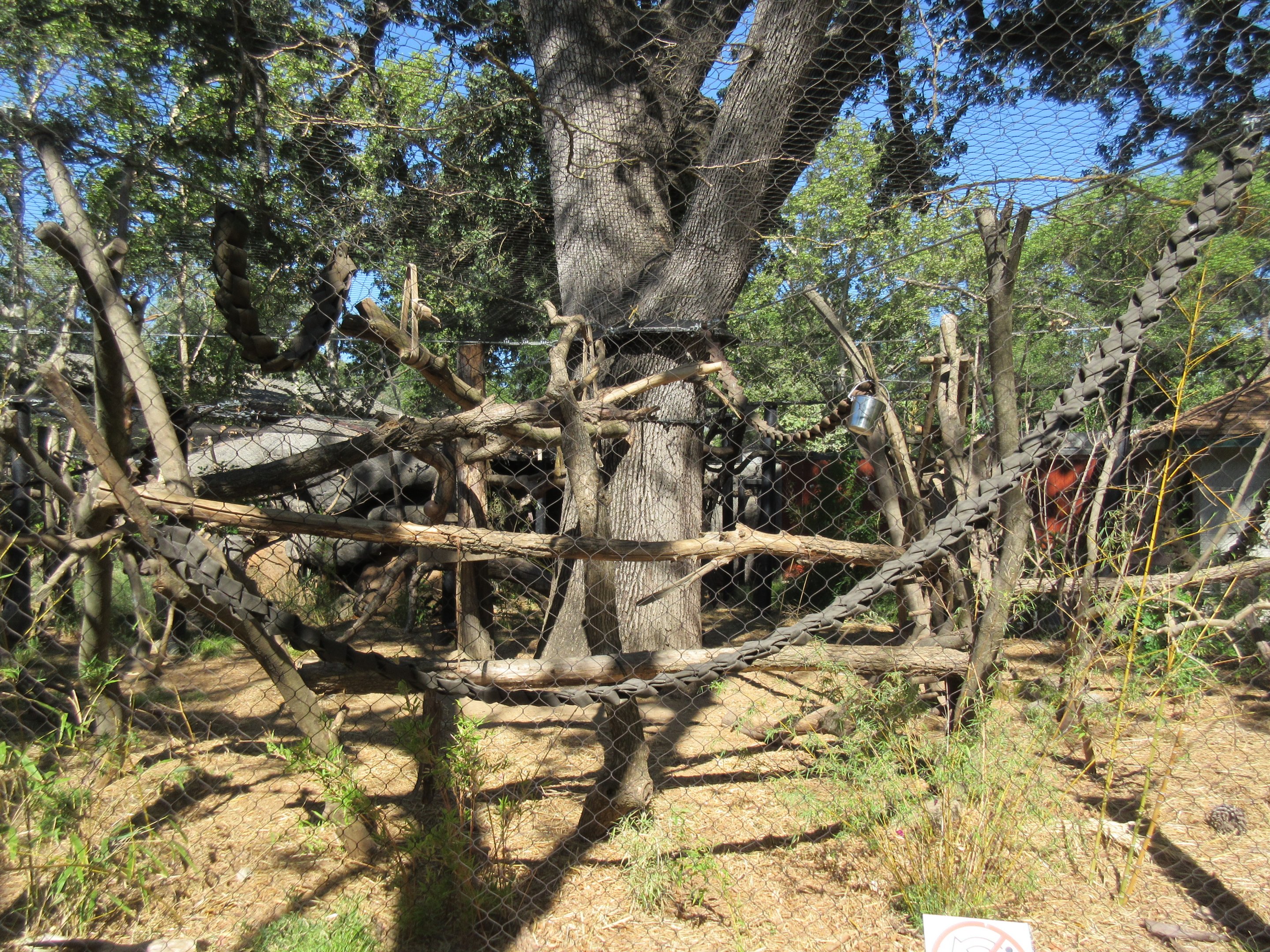 Small Wonders (New in 2014) - Wolf's Guenon Exhibit