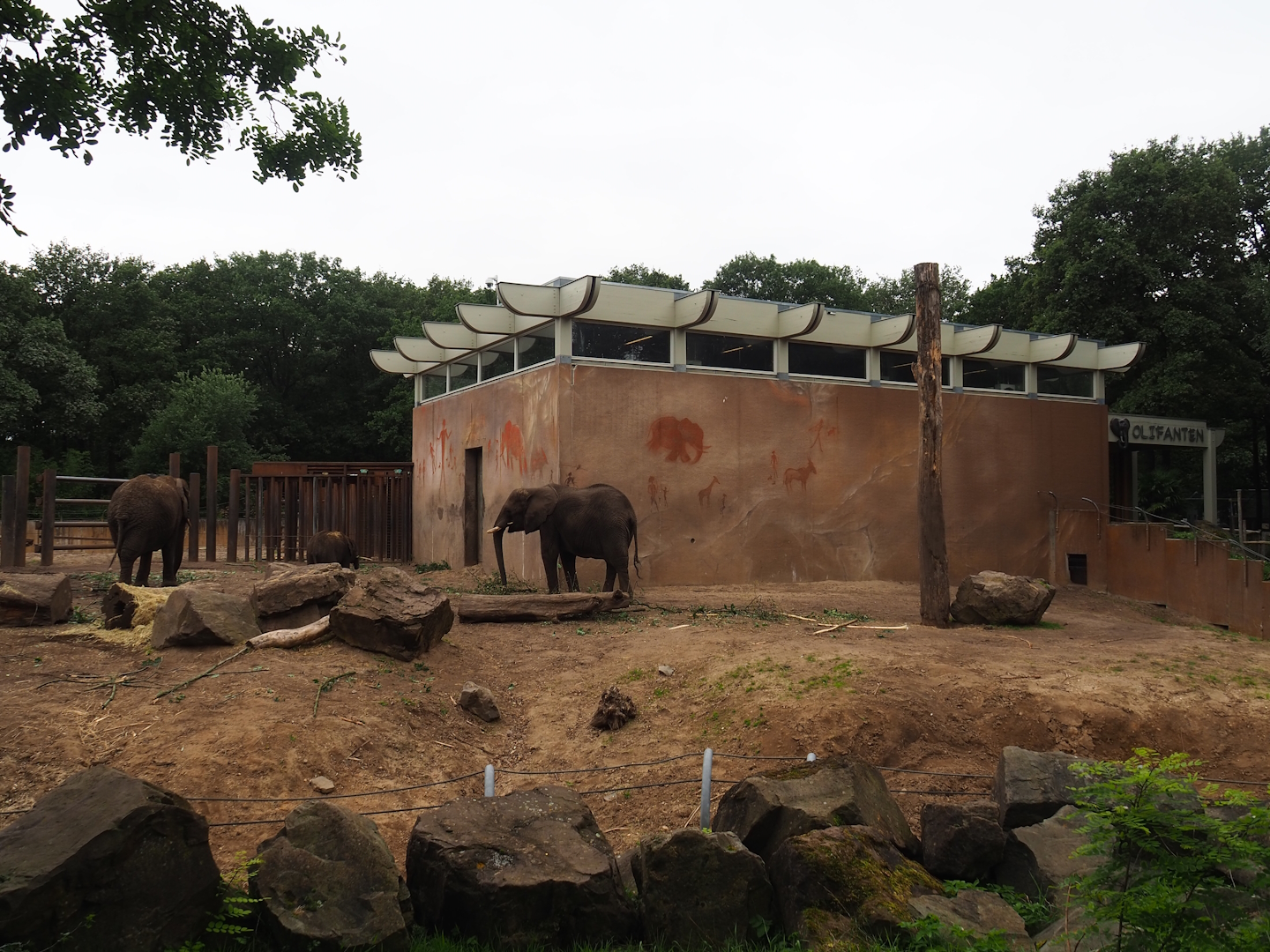 Smaller African bush elephant paddock and African bush elephant house, 2023-08-17
