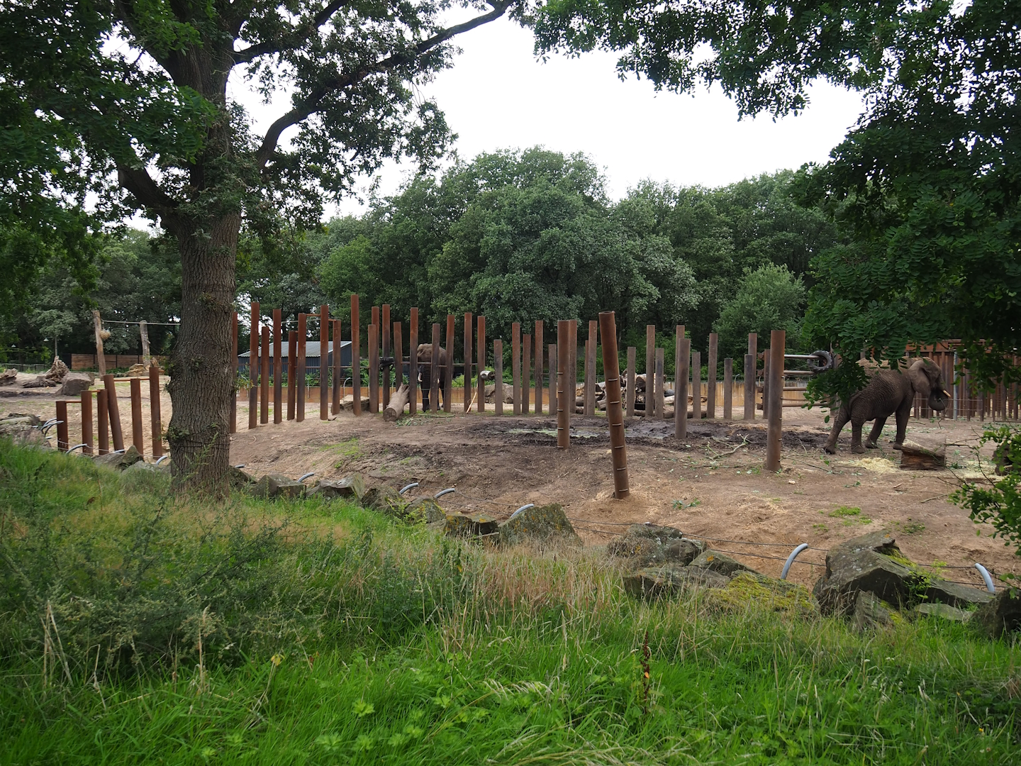 Smaller African bush elephant paddock and African bush elephant house, 2023-08-17