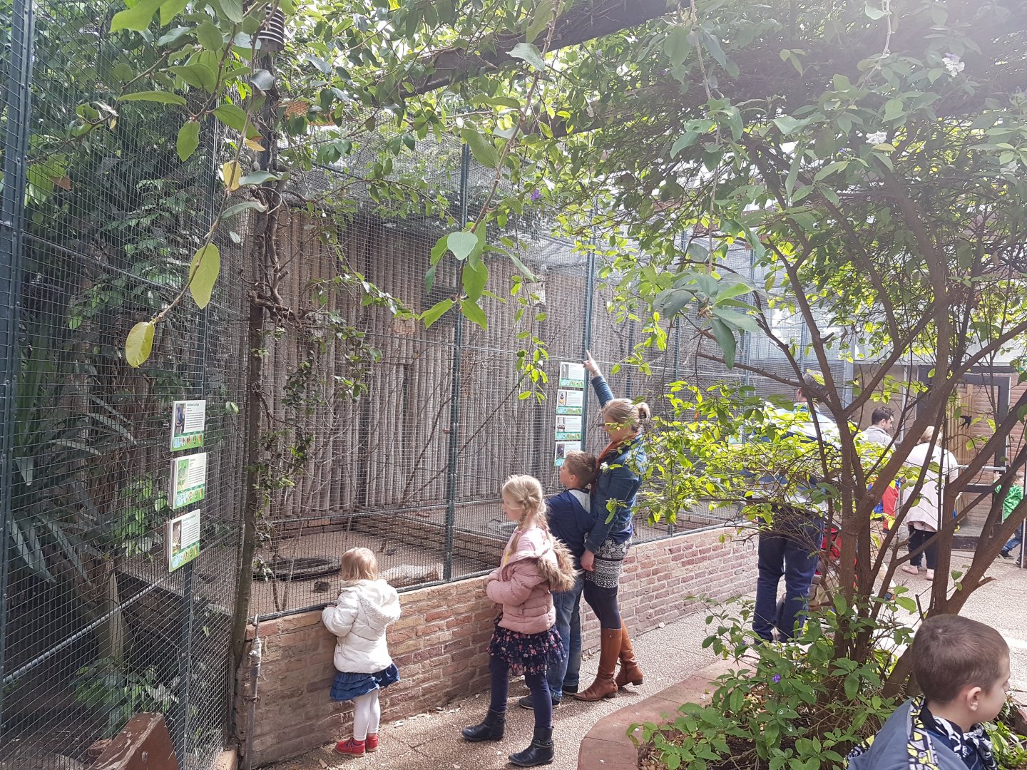 Smaller aviaries Tropical Hall