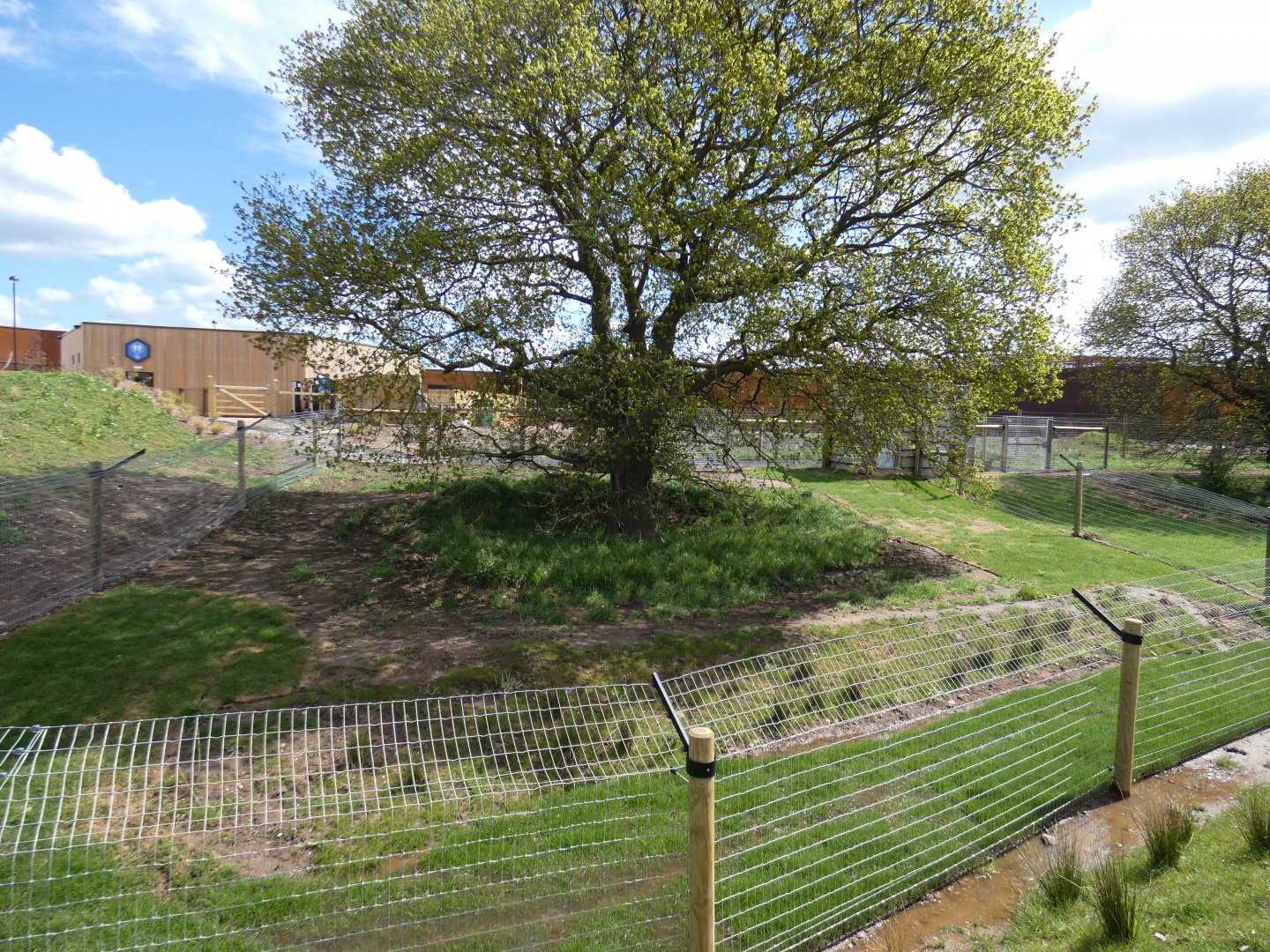 Smaller Bush dog enclosure