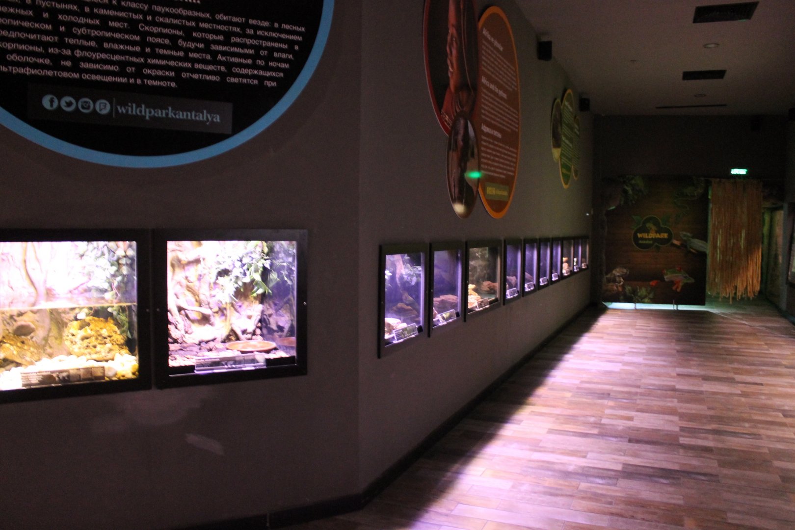 Smaller Herp-enclosures