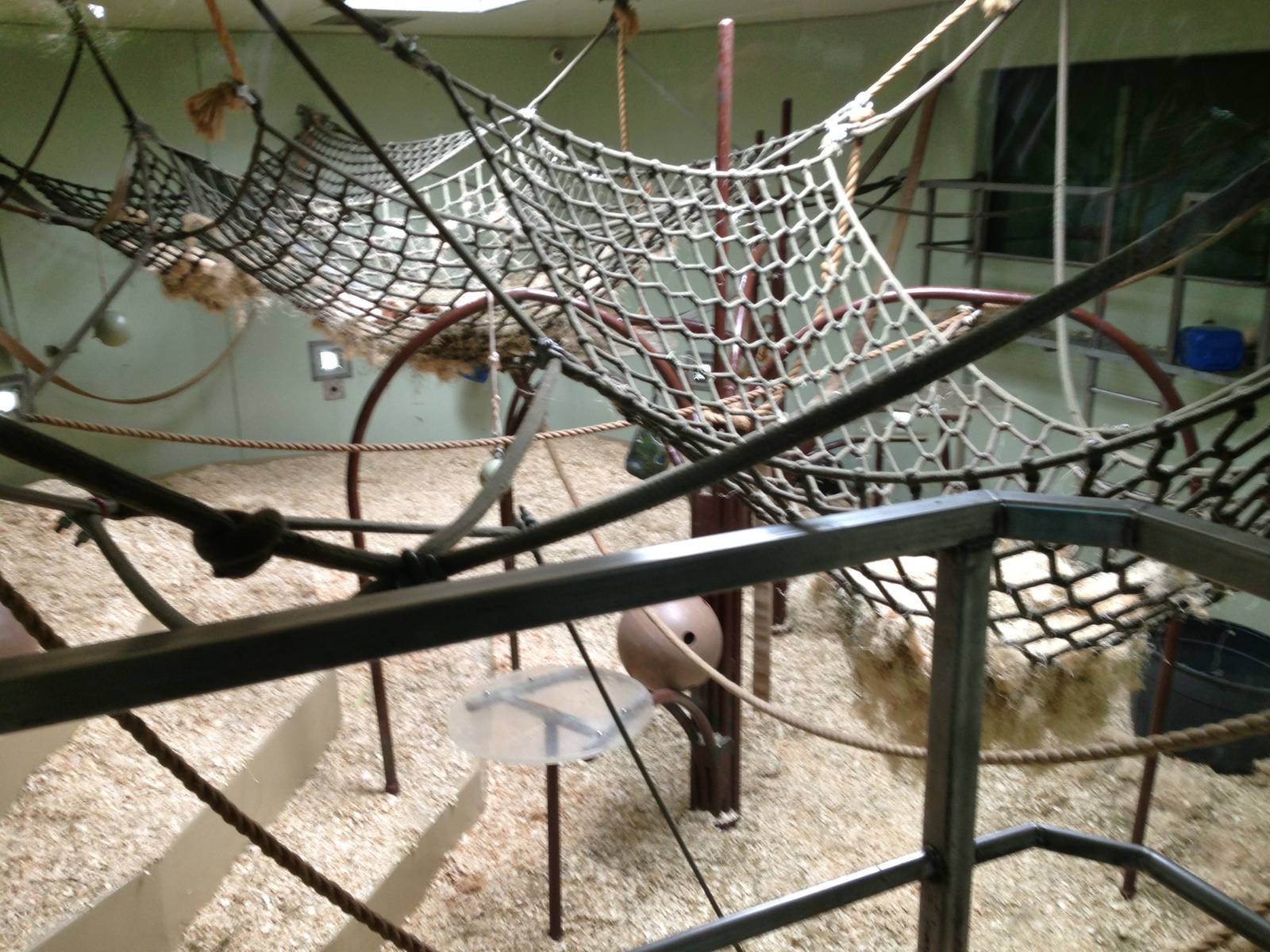 Smaller Indoor Gorilla Exhibit