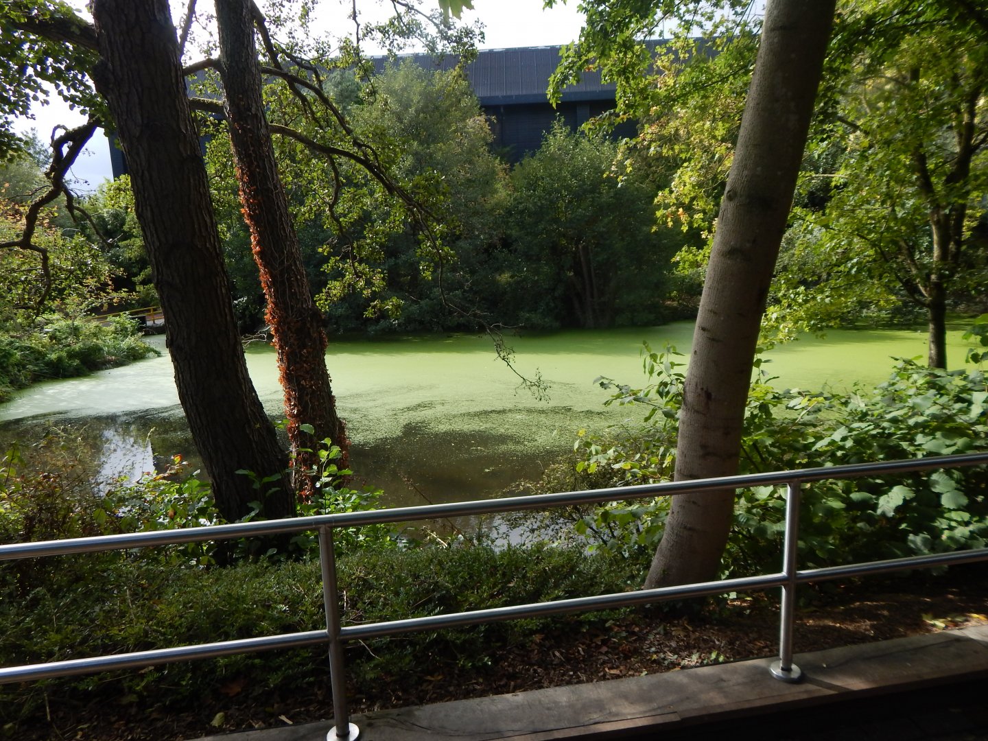 Smaller lake/pond 110925