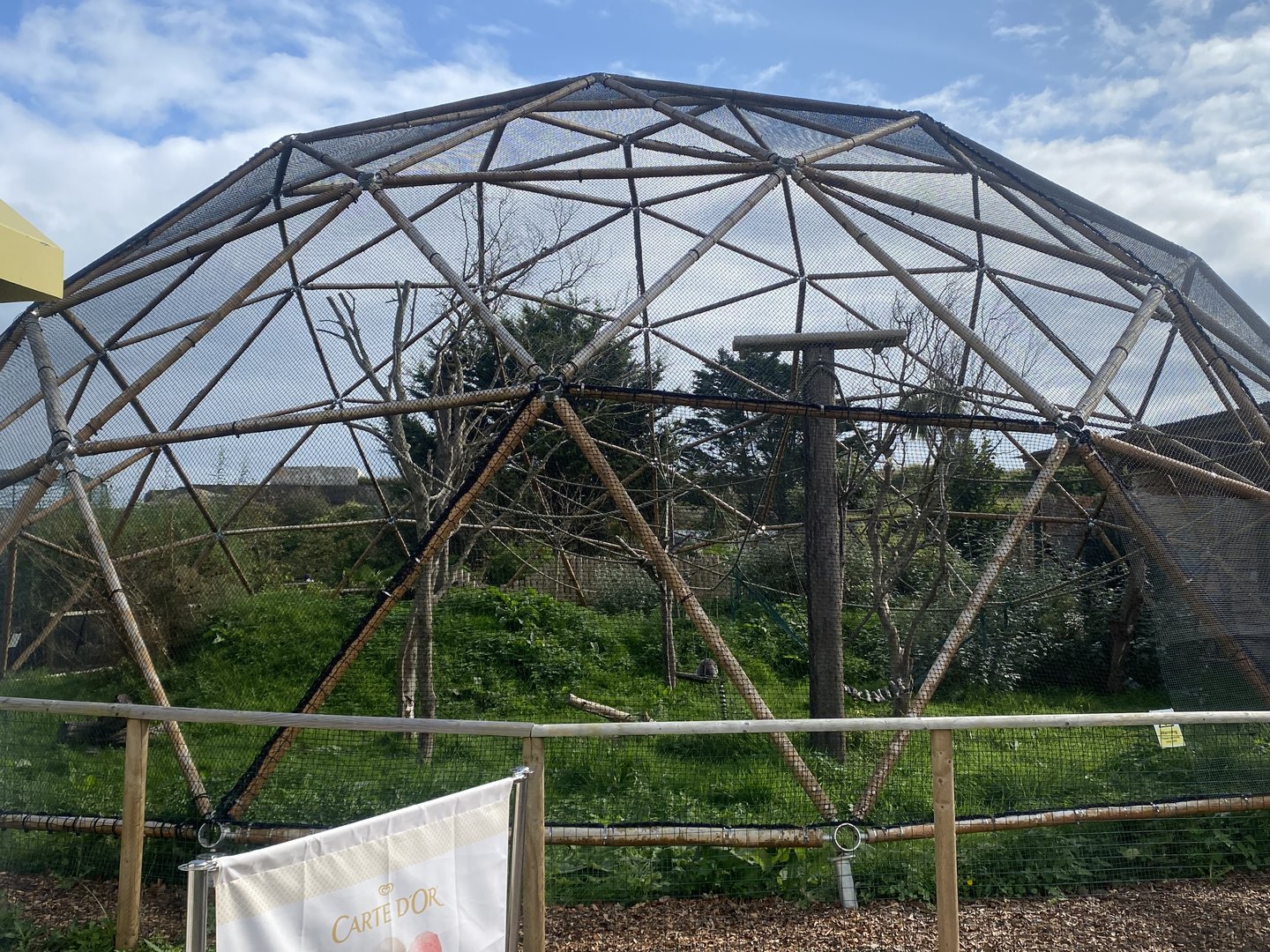 Smaller lemur dome 130923