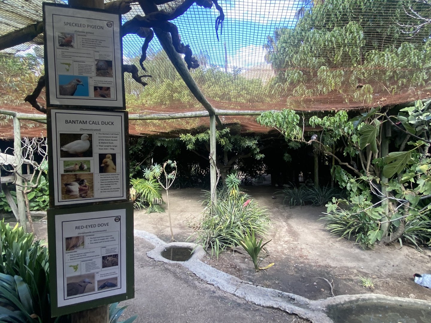 Smaller Mixed Aviary