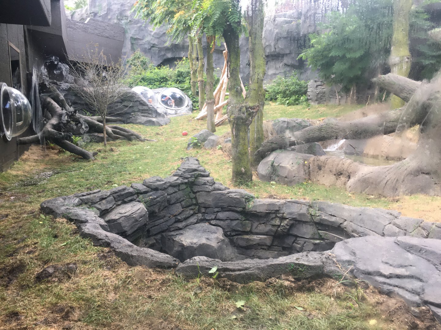 Smaller Outdoor Gorilla Yard