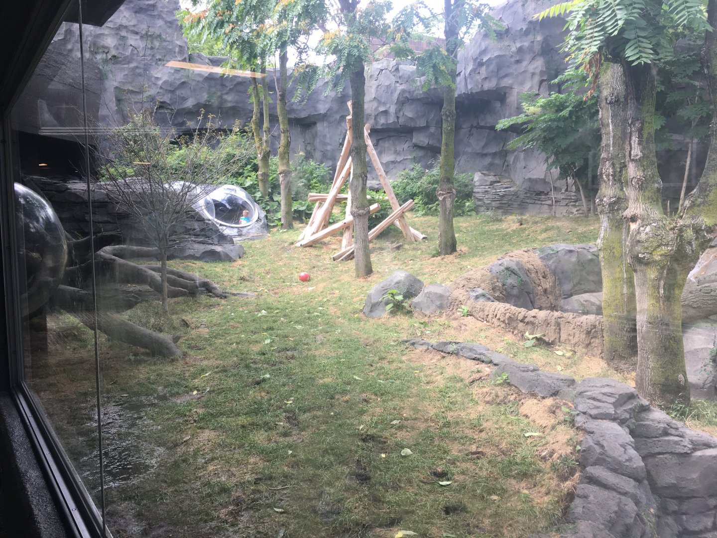 Smaller Outdoor Gorilla Yard