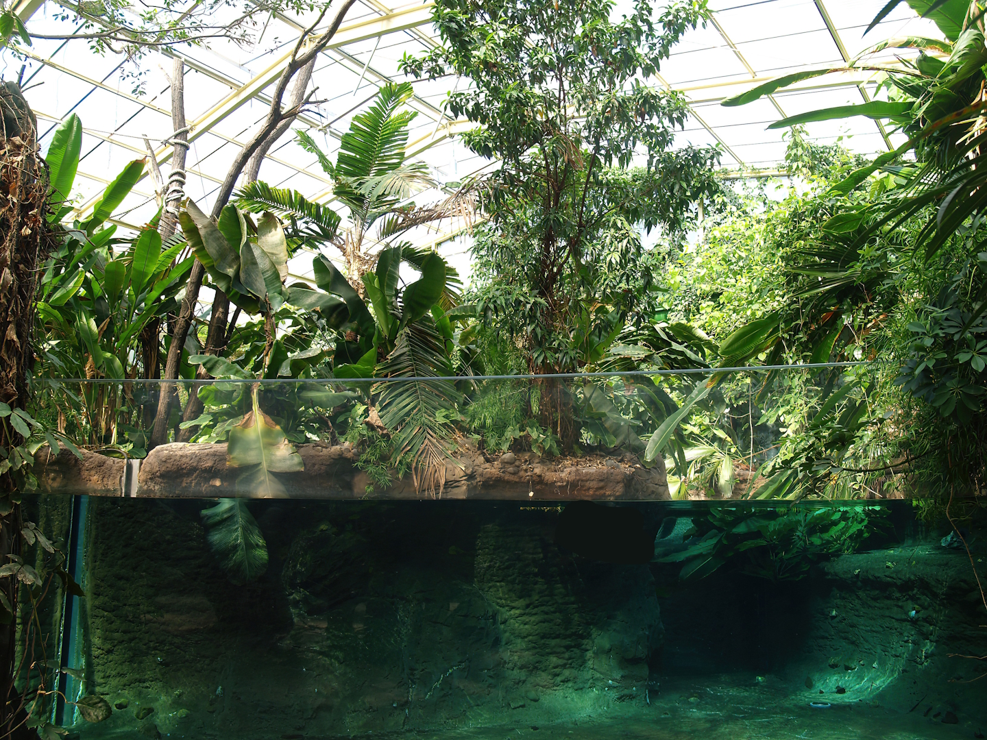 Smaller part of the Boto tank (Now fish and Manatee tank), 2007-04-01
