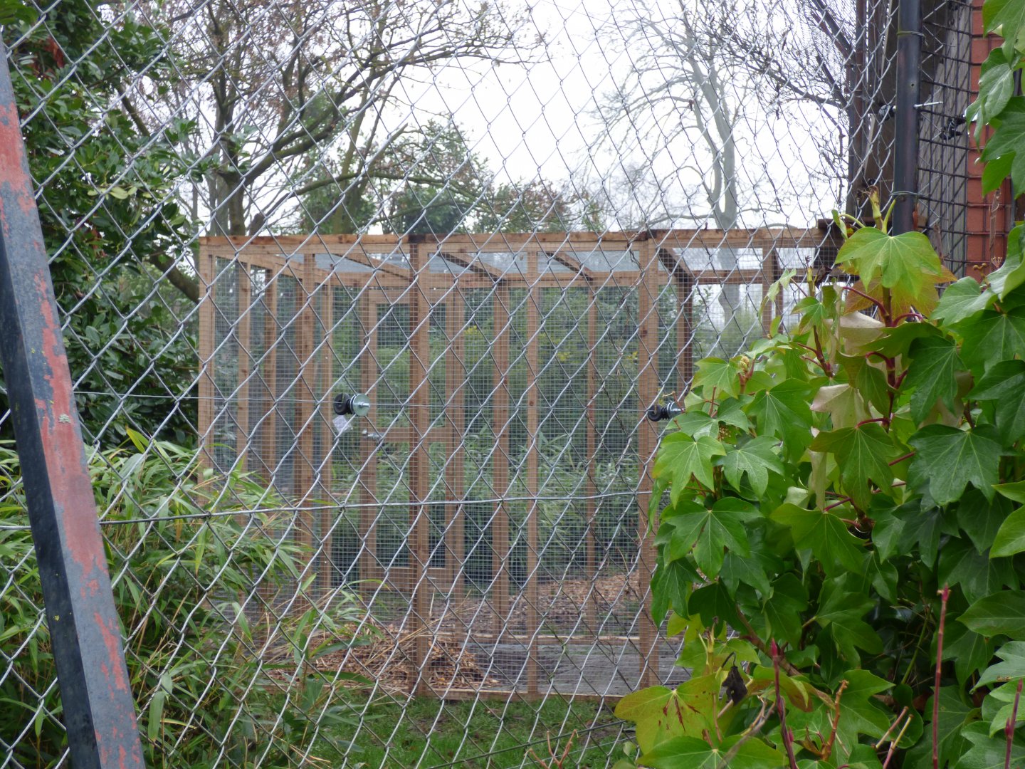 Smaller Pen being built inside Binturong Enclosure