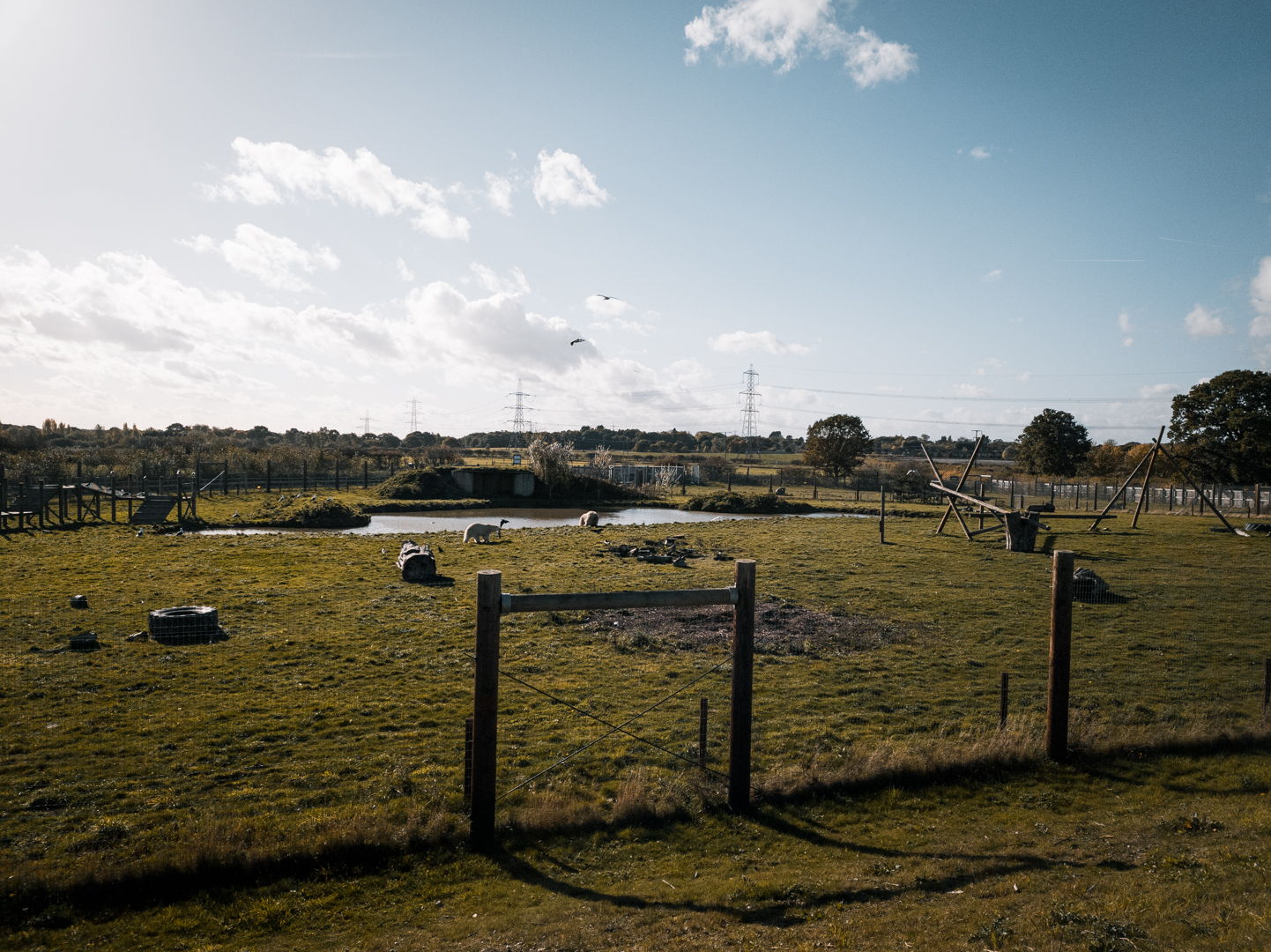 Smaller Polar Bear complex