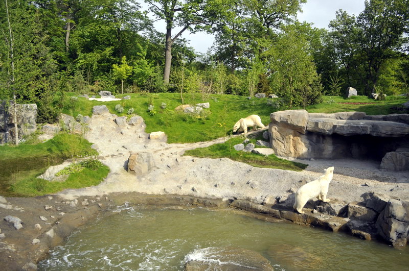 Smaller polarbear enclosure at Hannovers Yukon Bay.