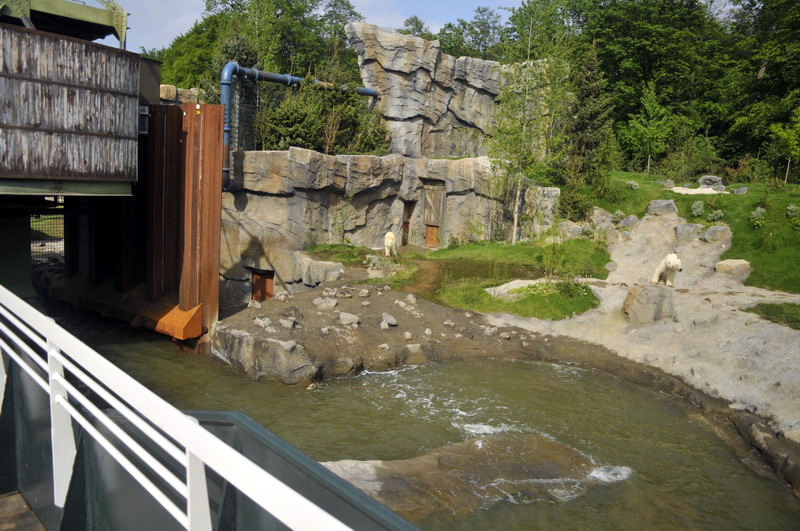 Smaller polarbear enclosure at Hannovers Yukon Bay.