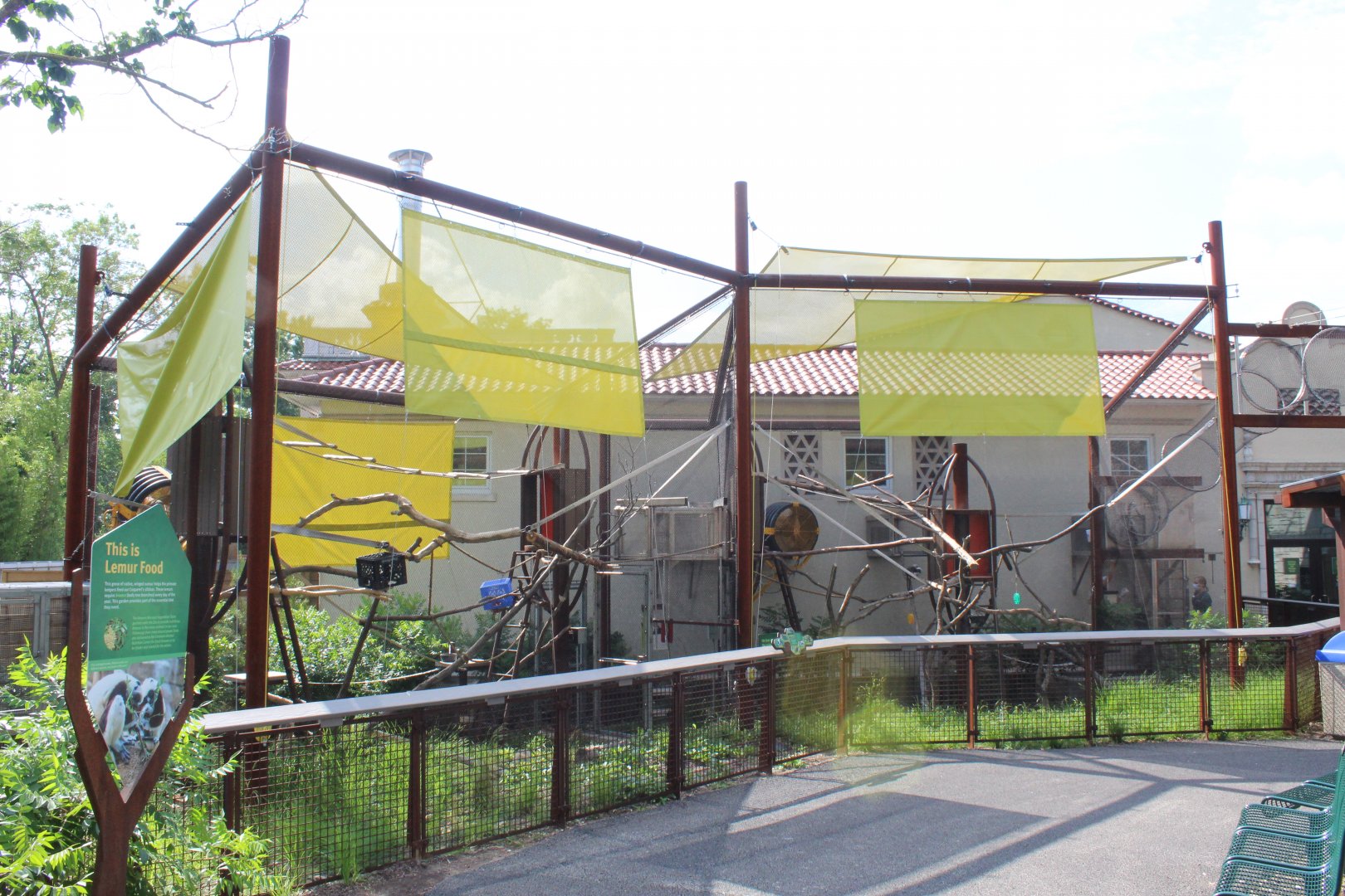 Smaller Primate Exhibits (Cotton-top Tamarin Right, Mongoose Lemur Left) - Primate Canopy Trails
