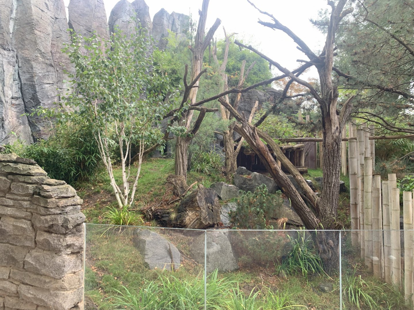 Smaller Red Panda enclosure - Himalayas