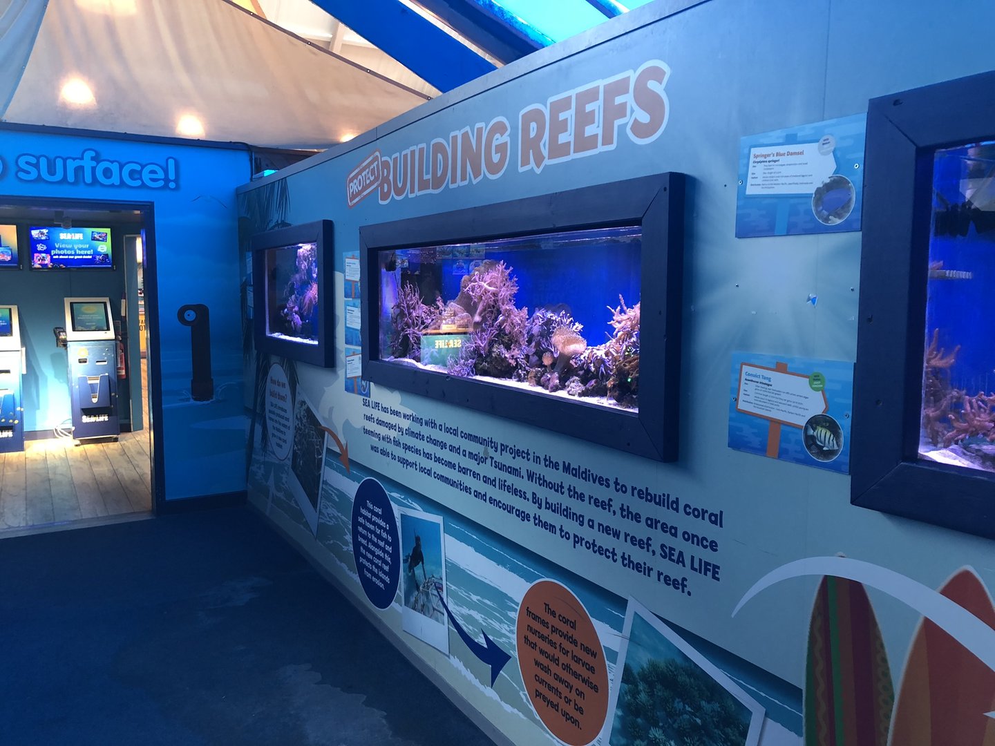 Smaller Reef Tanks at SEA LIFE Scarborough (September 2022)