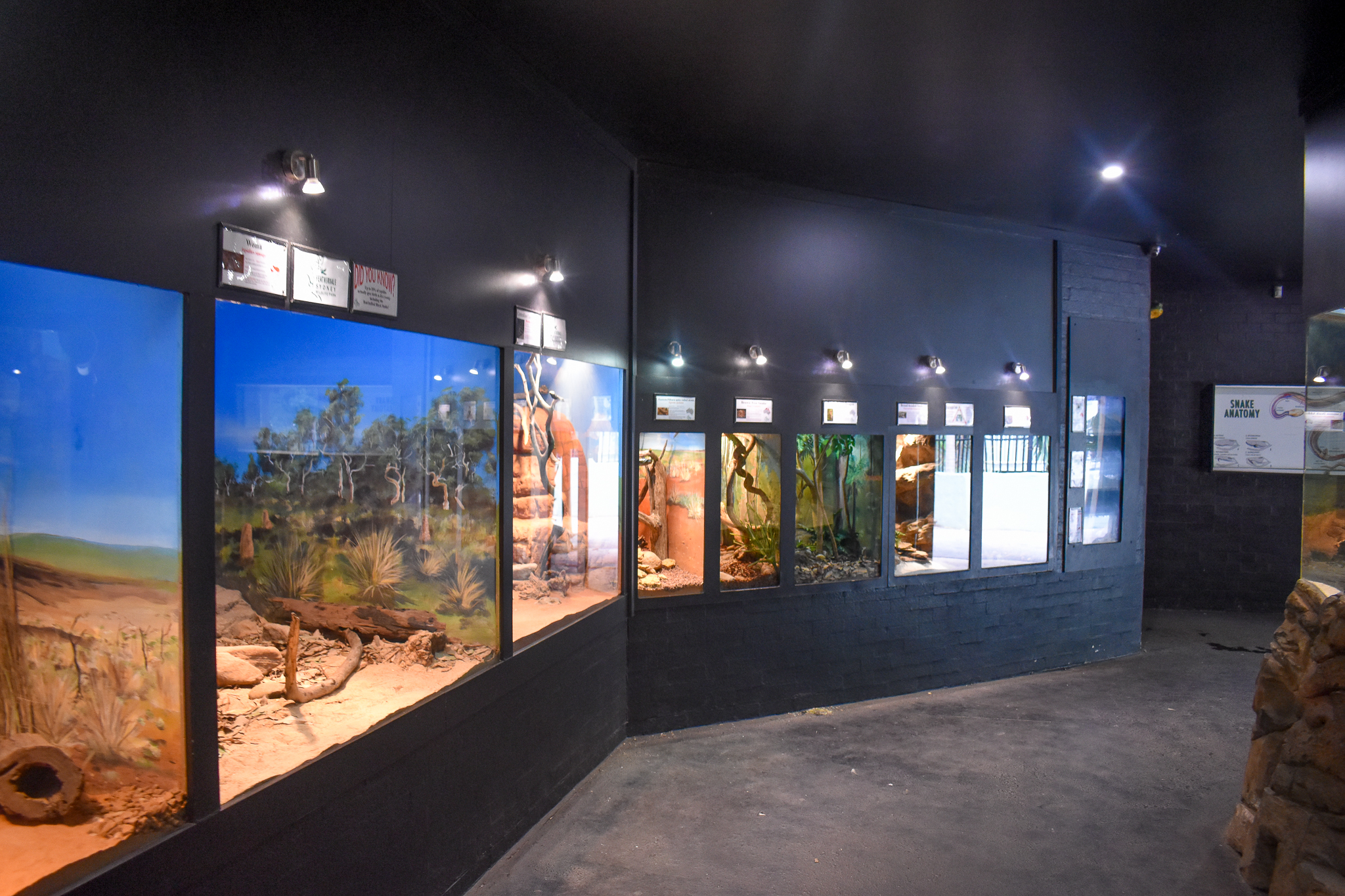 Smaller Reptile Enclosures