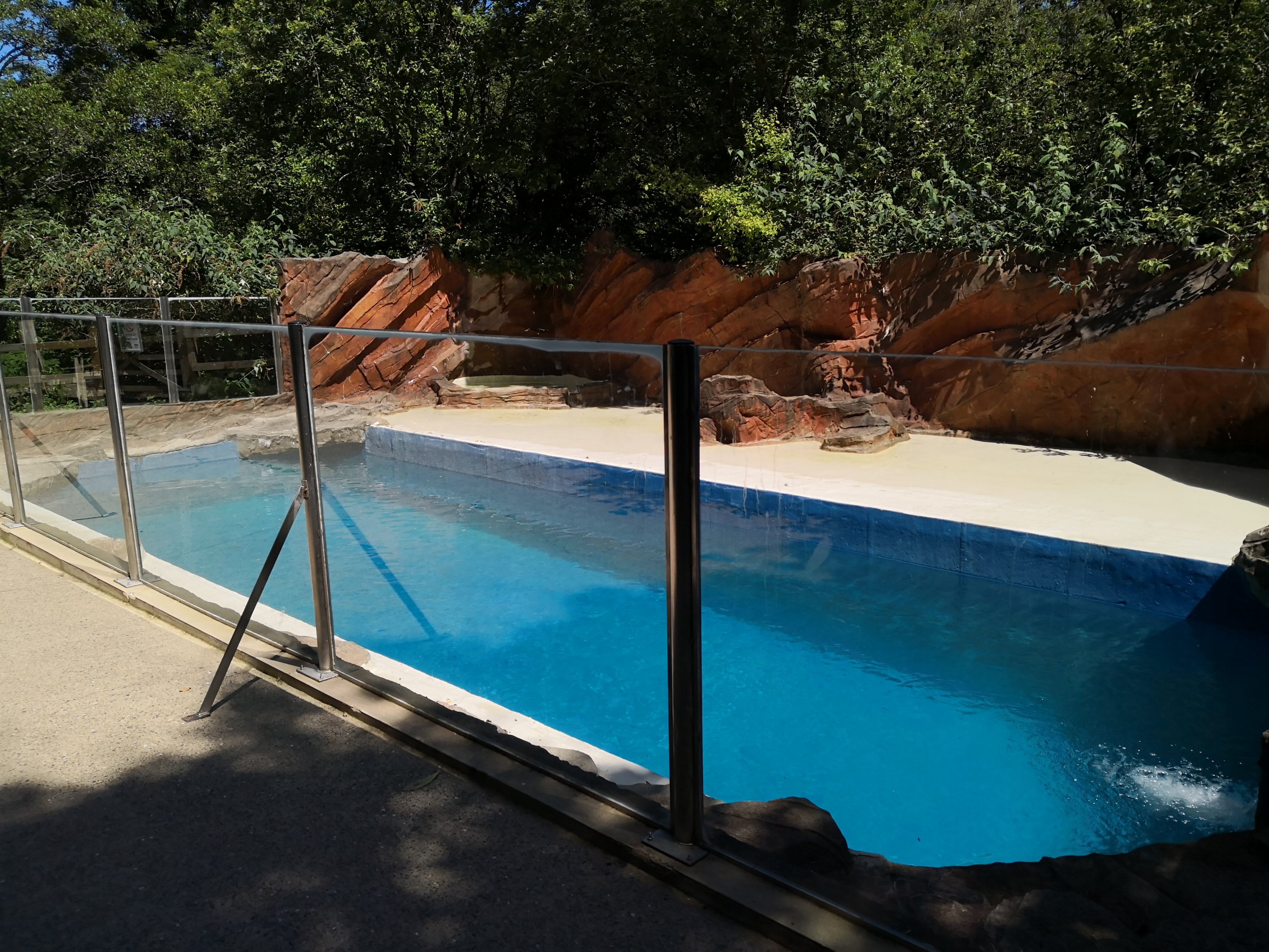 Smaller Sealion Enclosure