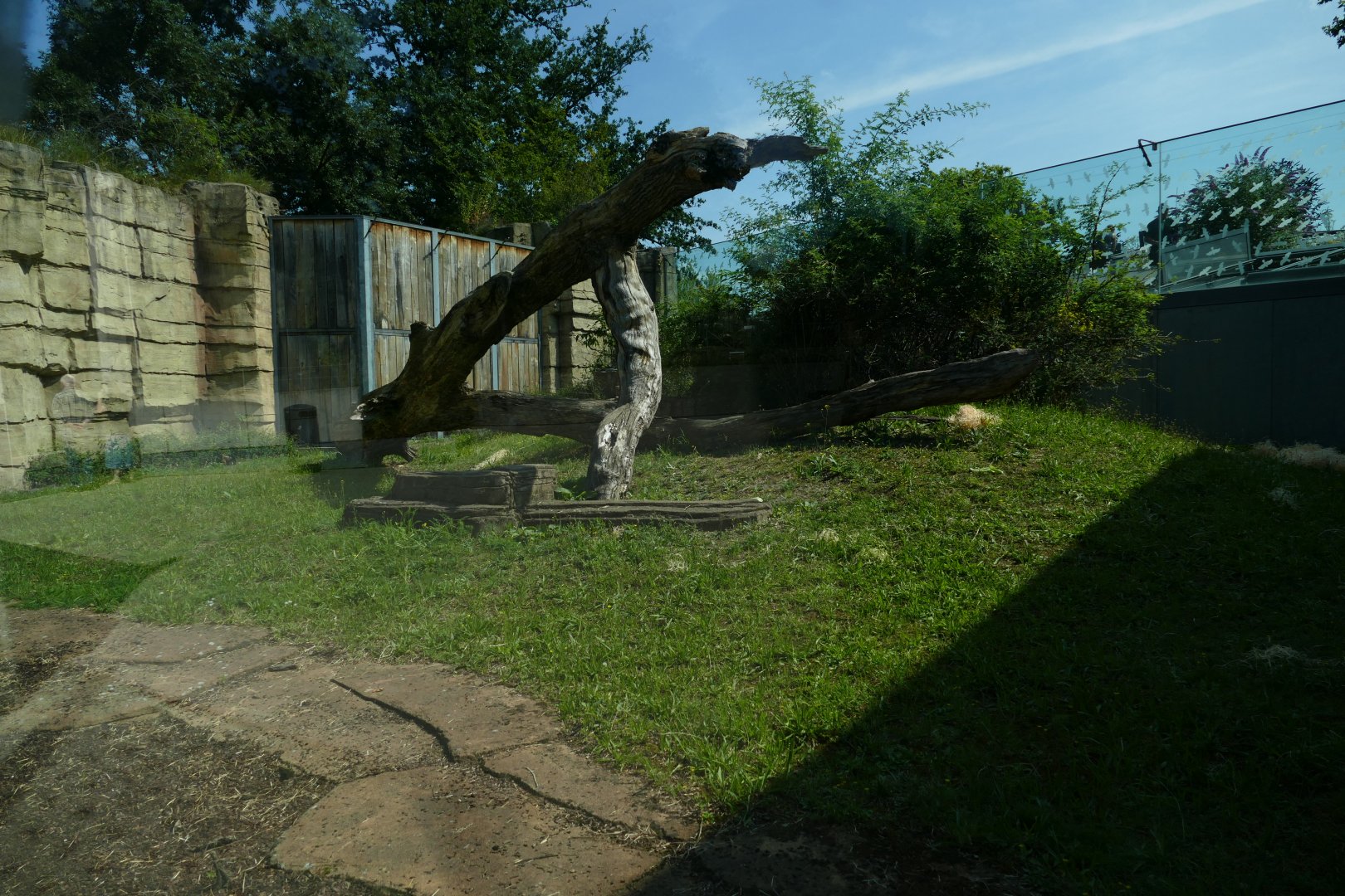 Smaller secondary Gorilla Exhibit