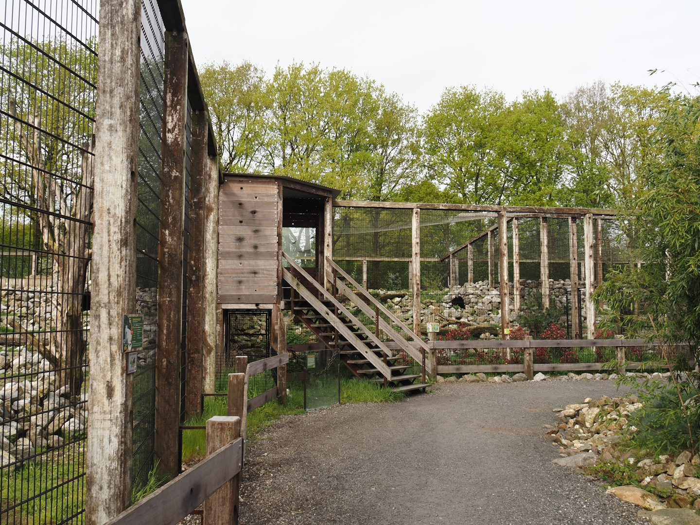Smaller snow leopard exhibit and Snow leopard and Rocky Mountain goat viewing hut, 2024-04-14