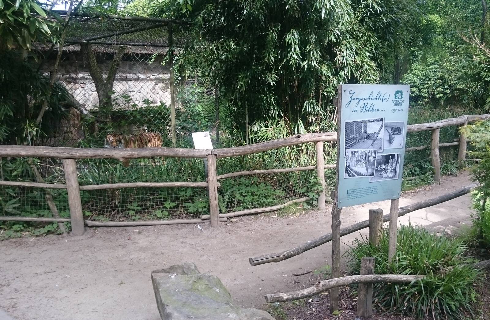 Smaller Sumatran tiger enclosure