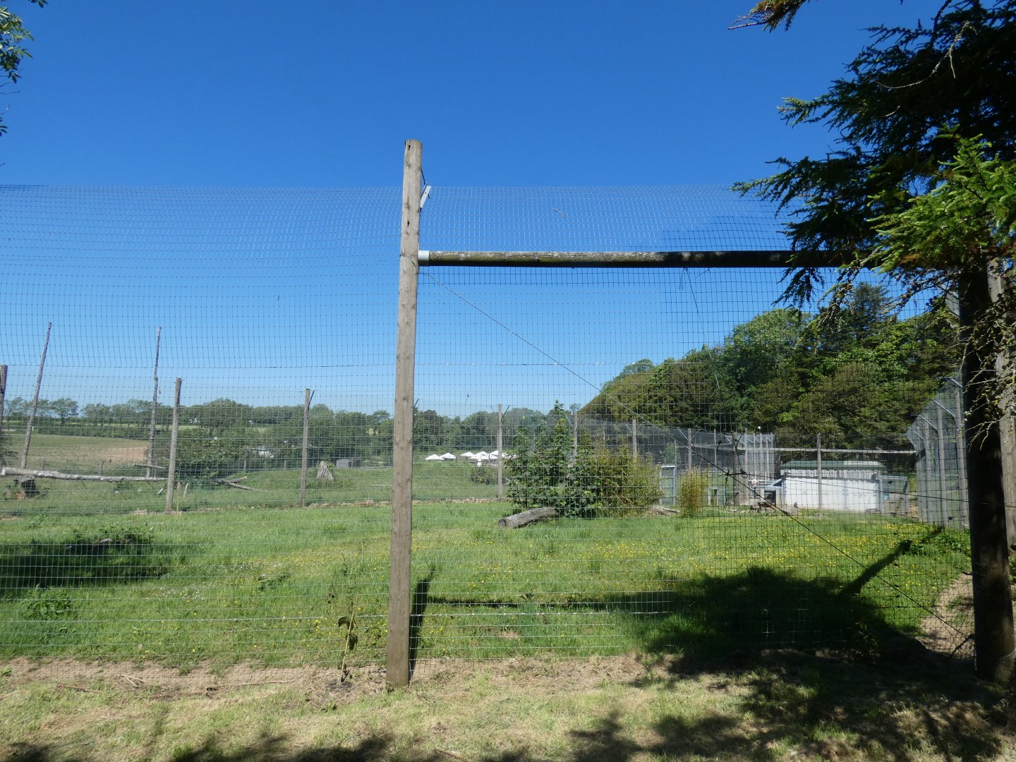 Smaller Sumatran tiger exhibit