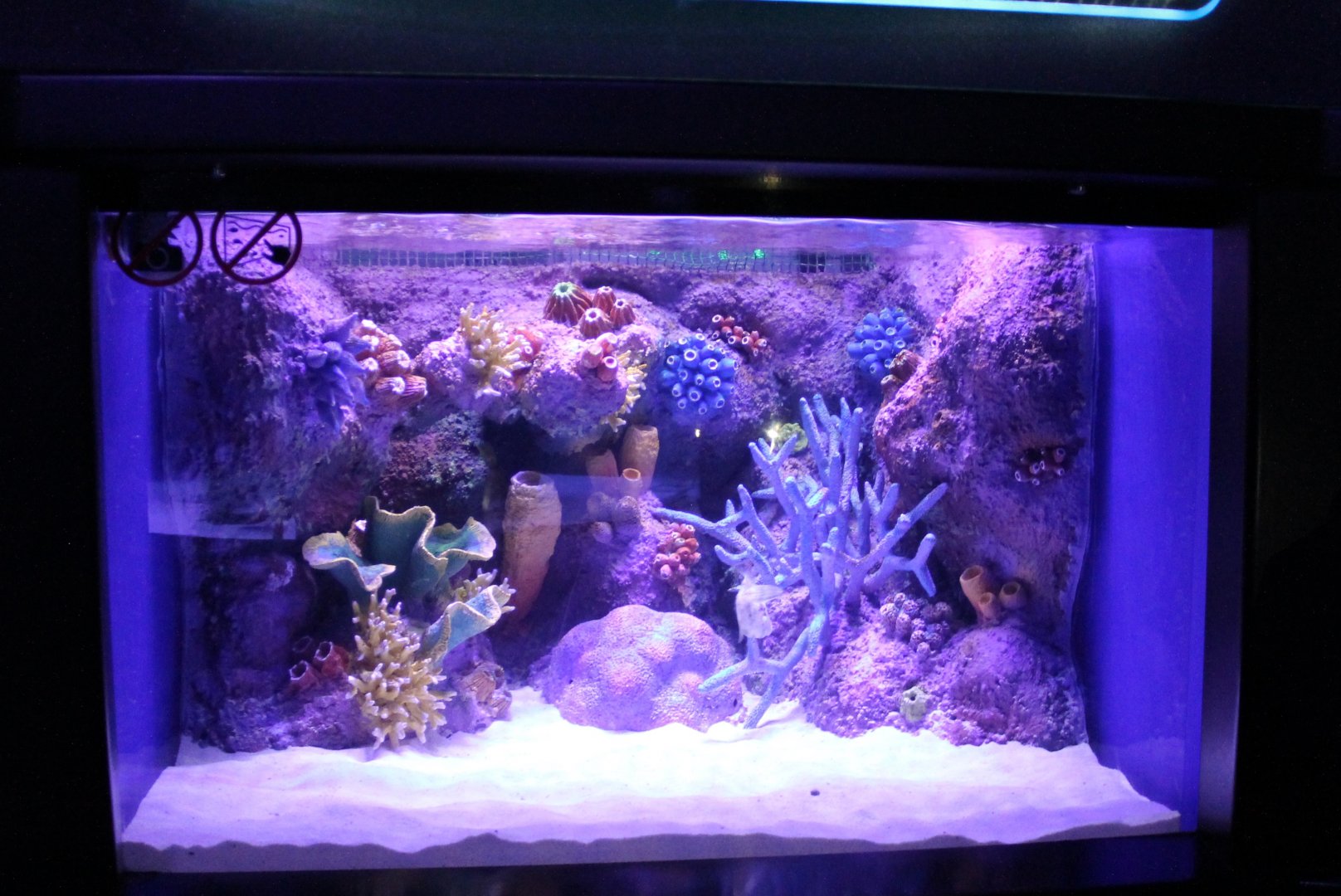 Smaller tank