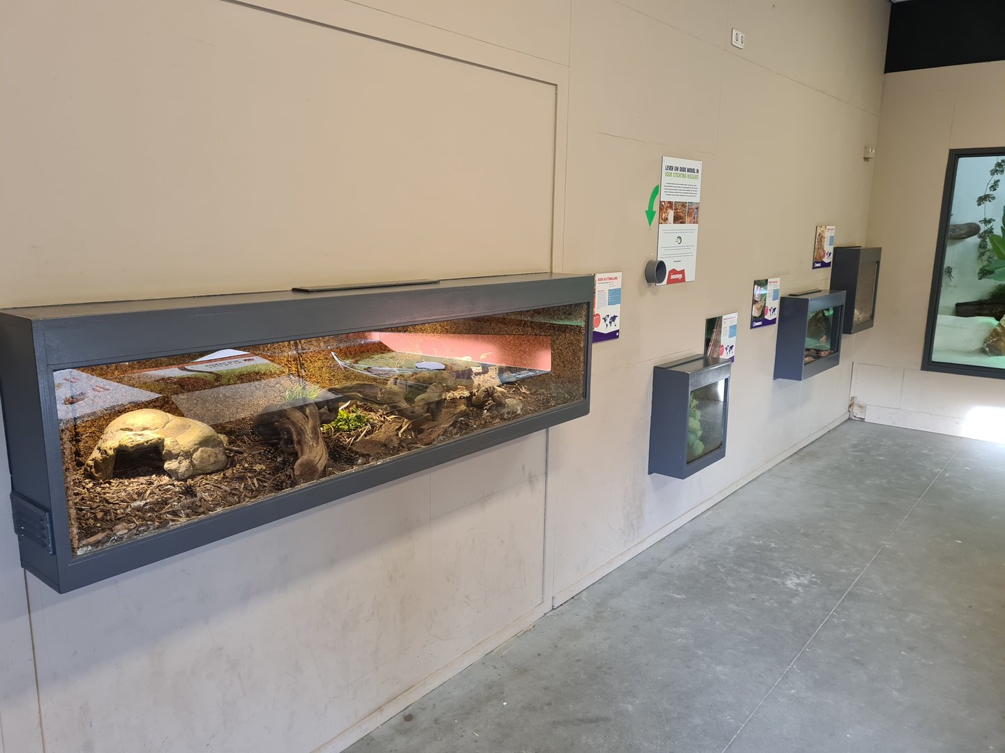 Smaller terrariums in reptile house