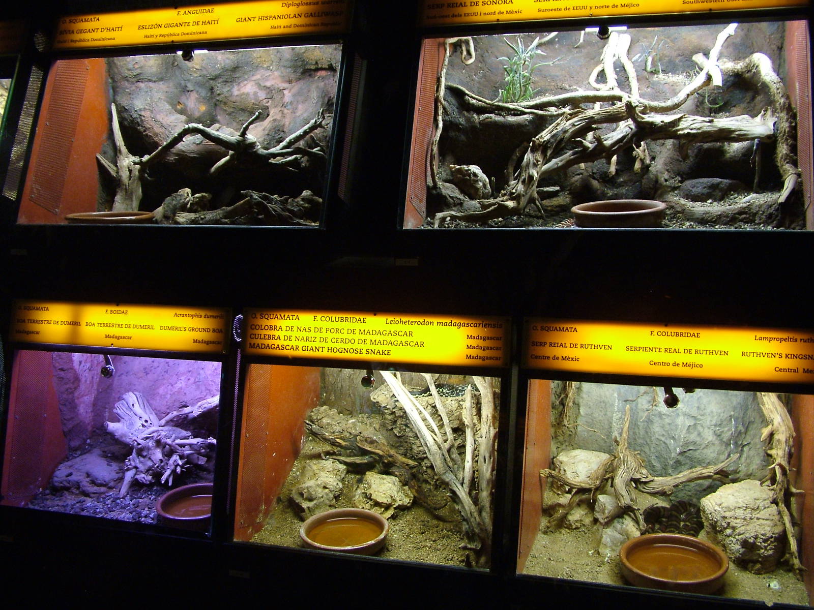 Smaller Vivariums at Barcelona, 30/05/11