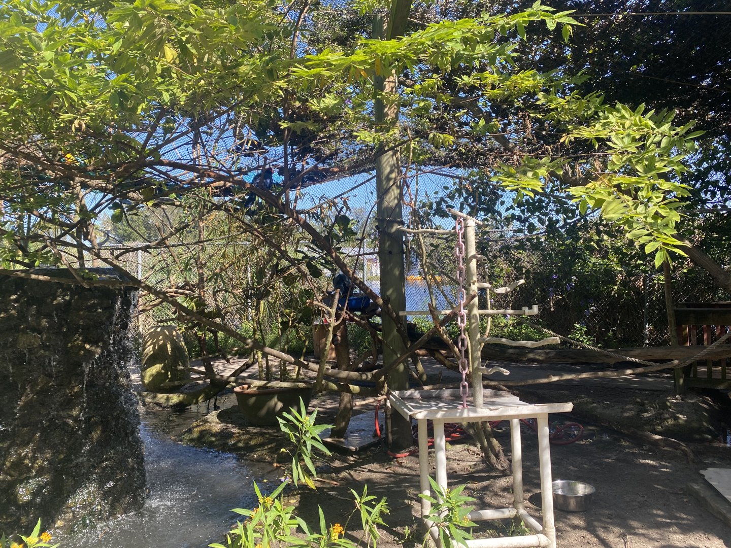 Smaller Walk-Through Aviary