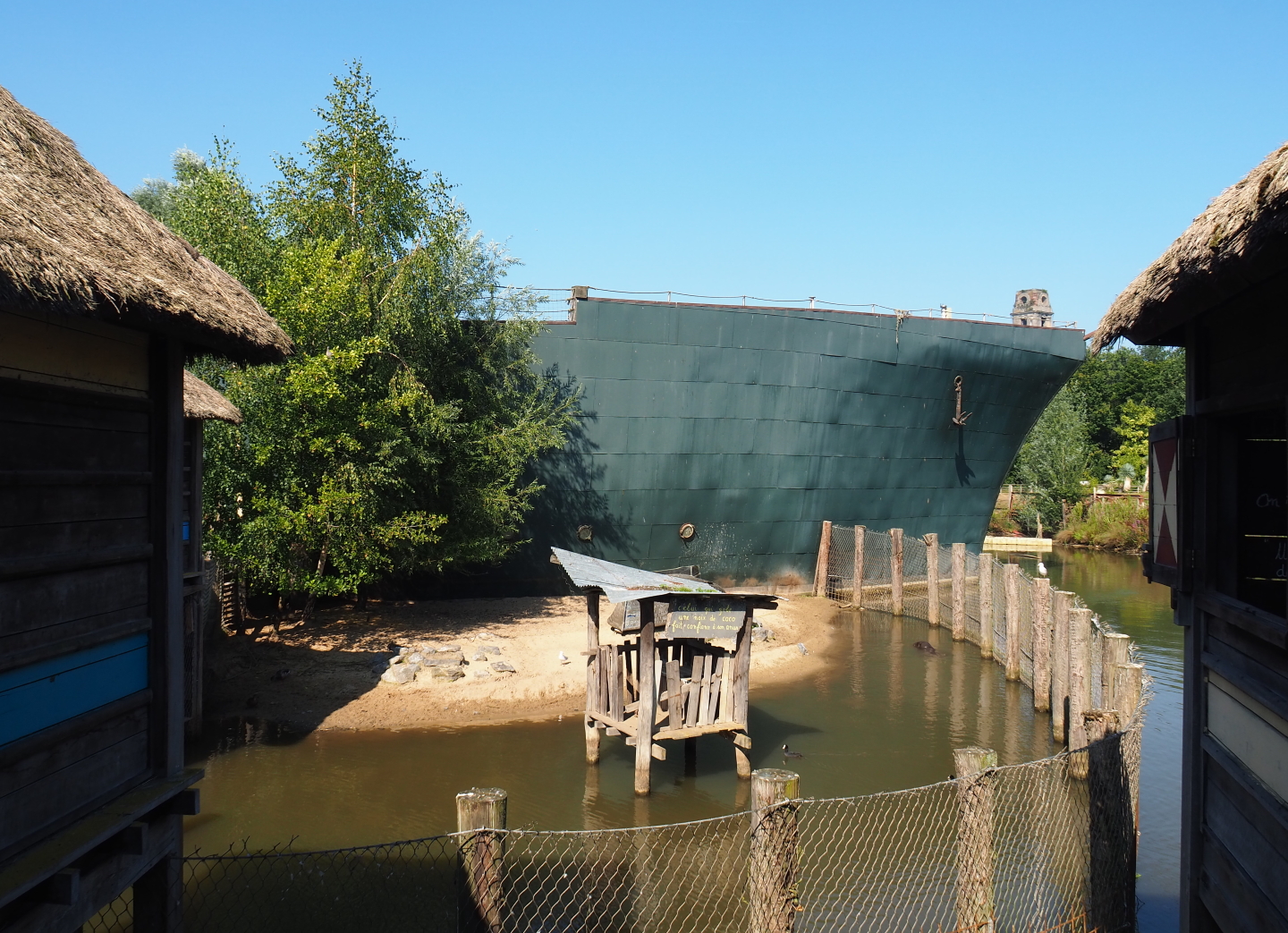 Smaller Western pygmy hippopotamus exhibit, 2021-09-03