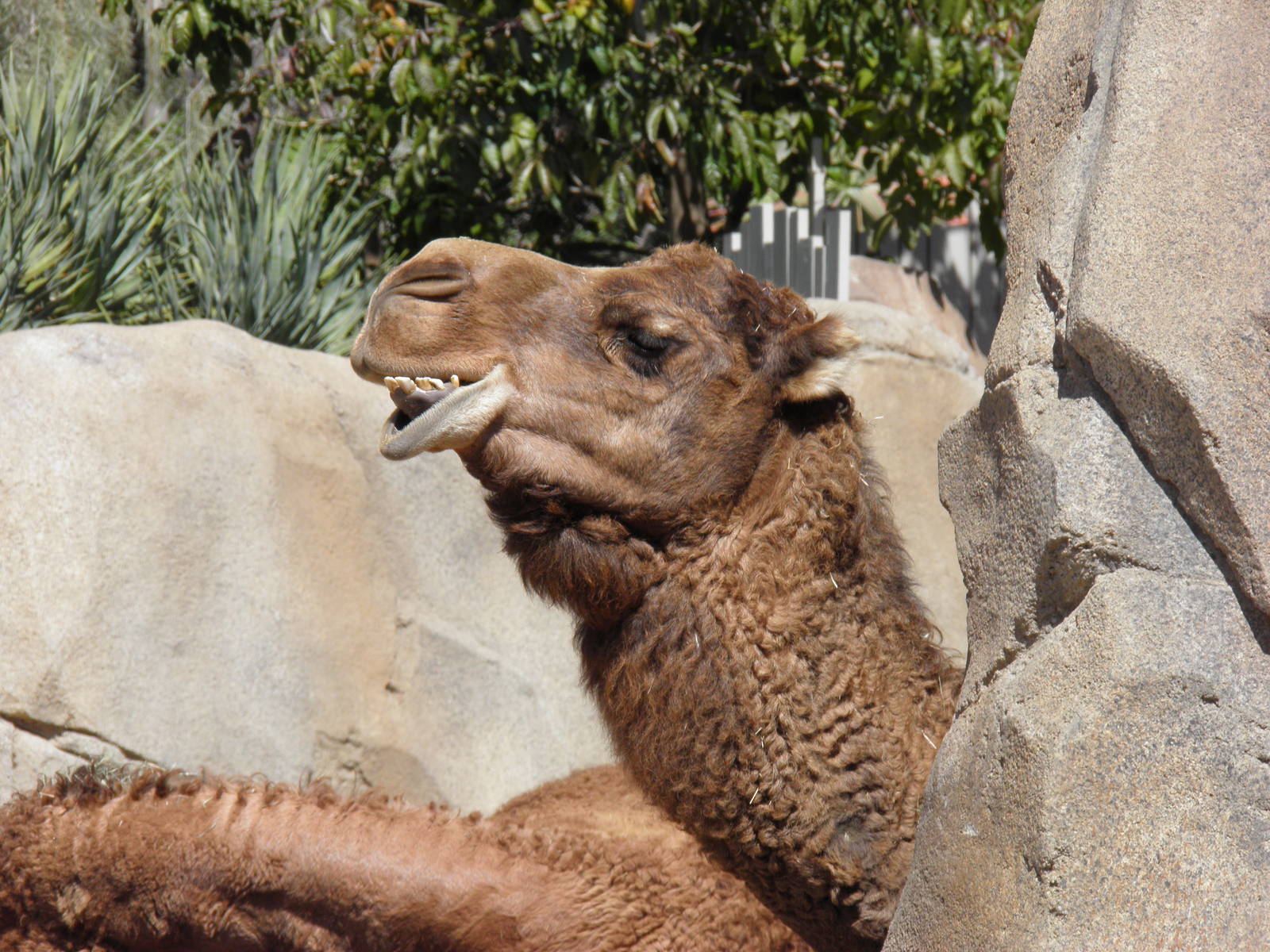 Smile for the camera!