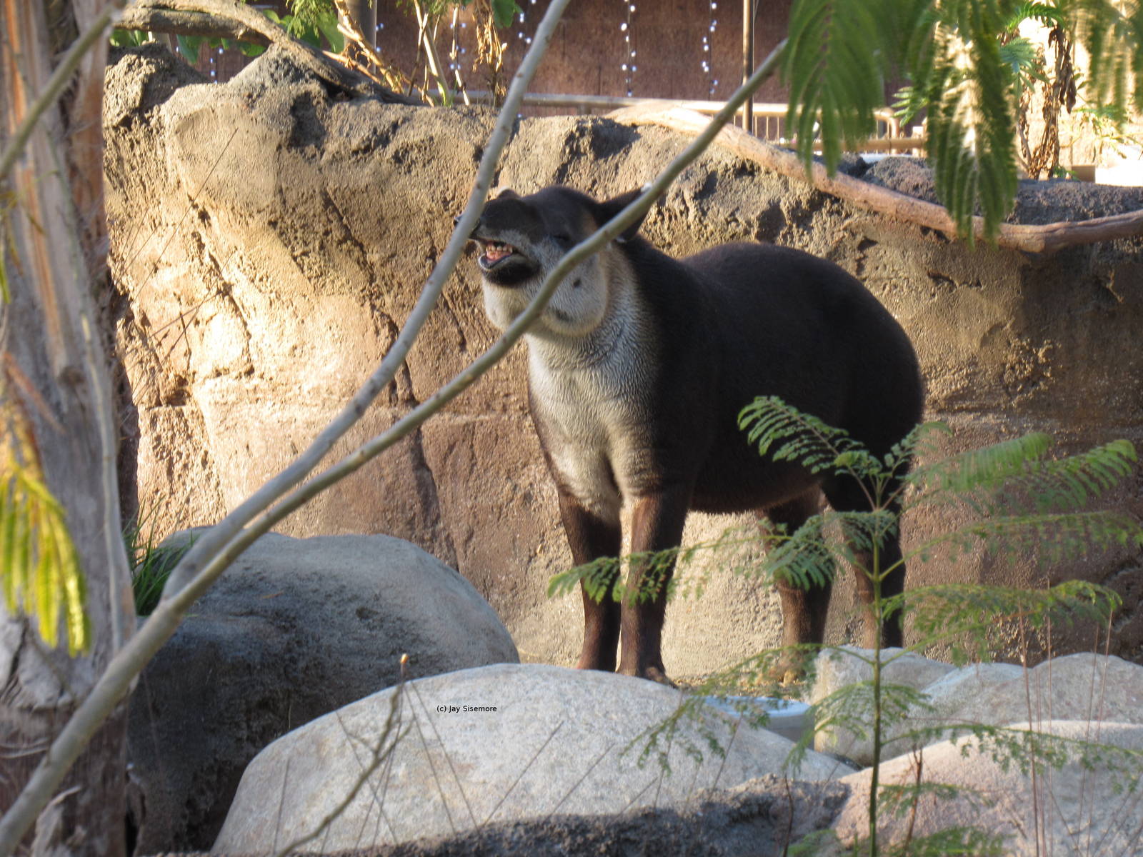 Smile for the Camera!