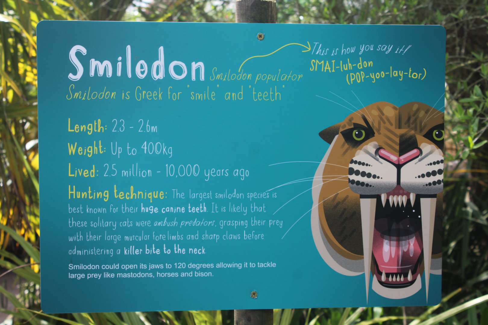 smilodon label June 2019