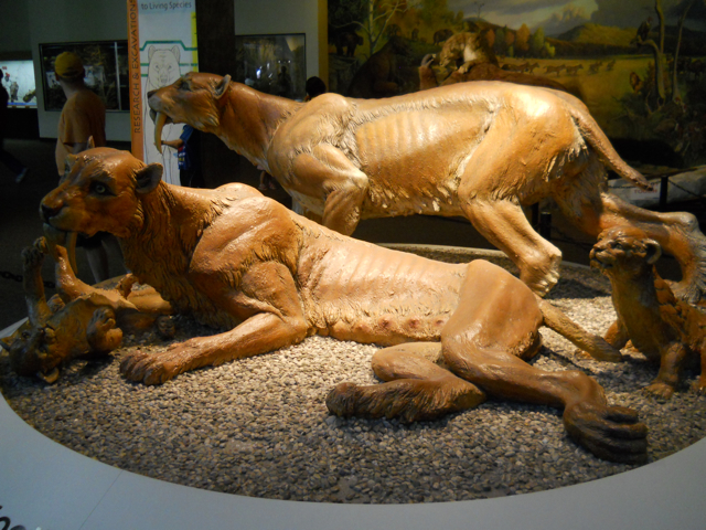 Smilodon statues