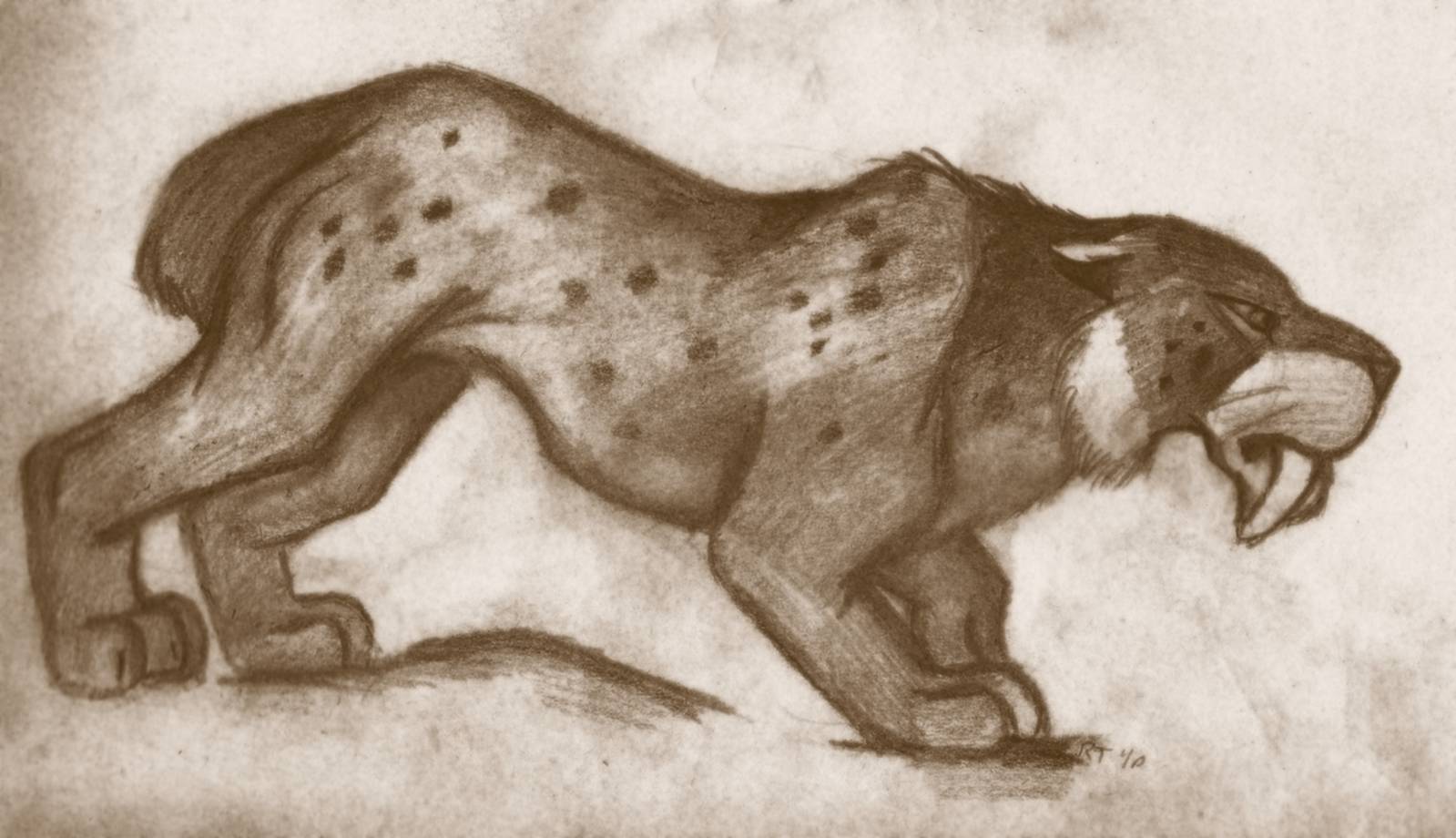 Smilodon
