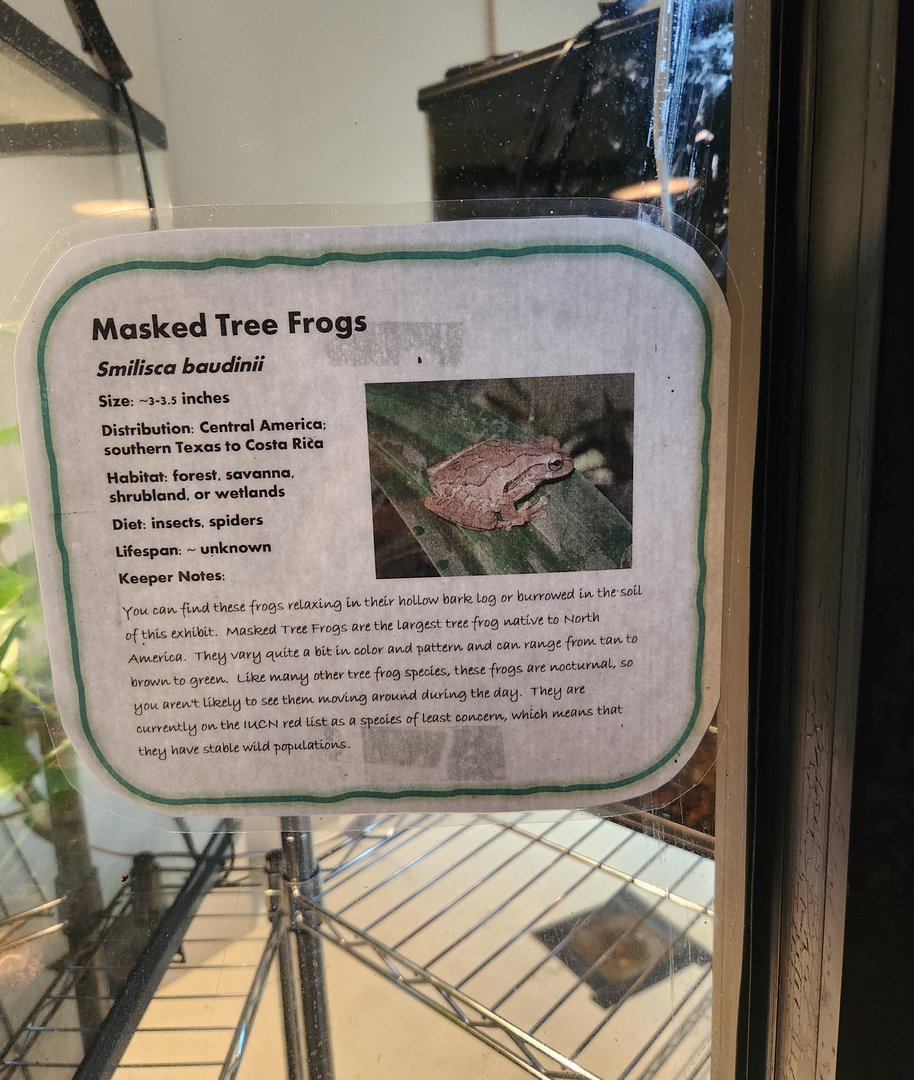 Smilsca baudini sign