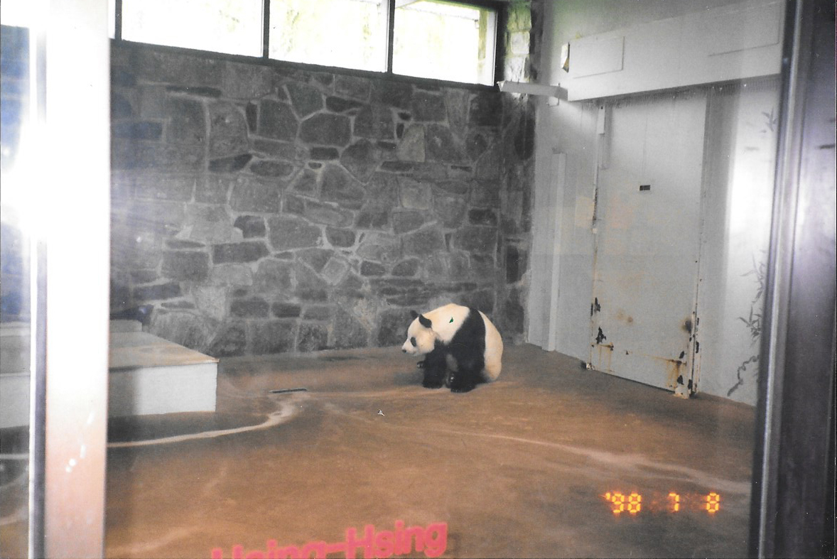 Smithsonian, 1998, Hsing-Hsing