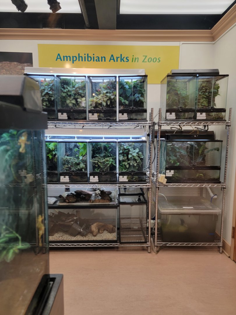 Smithsonian 2/22 - Amazonia, Amphibian Ark in zoos