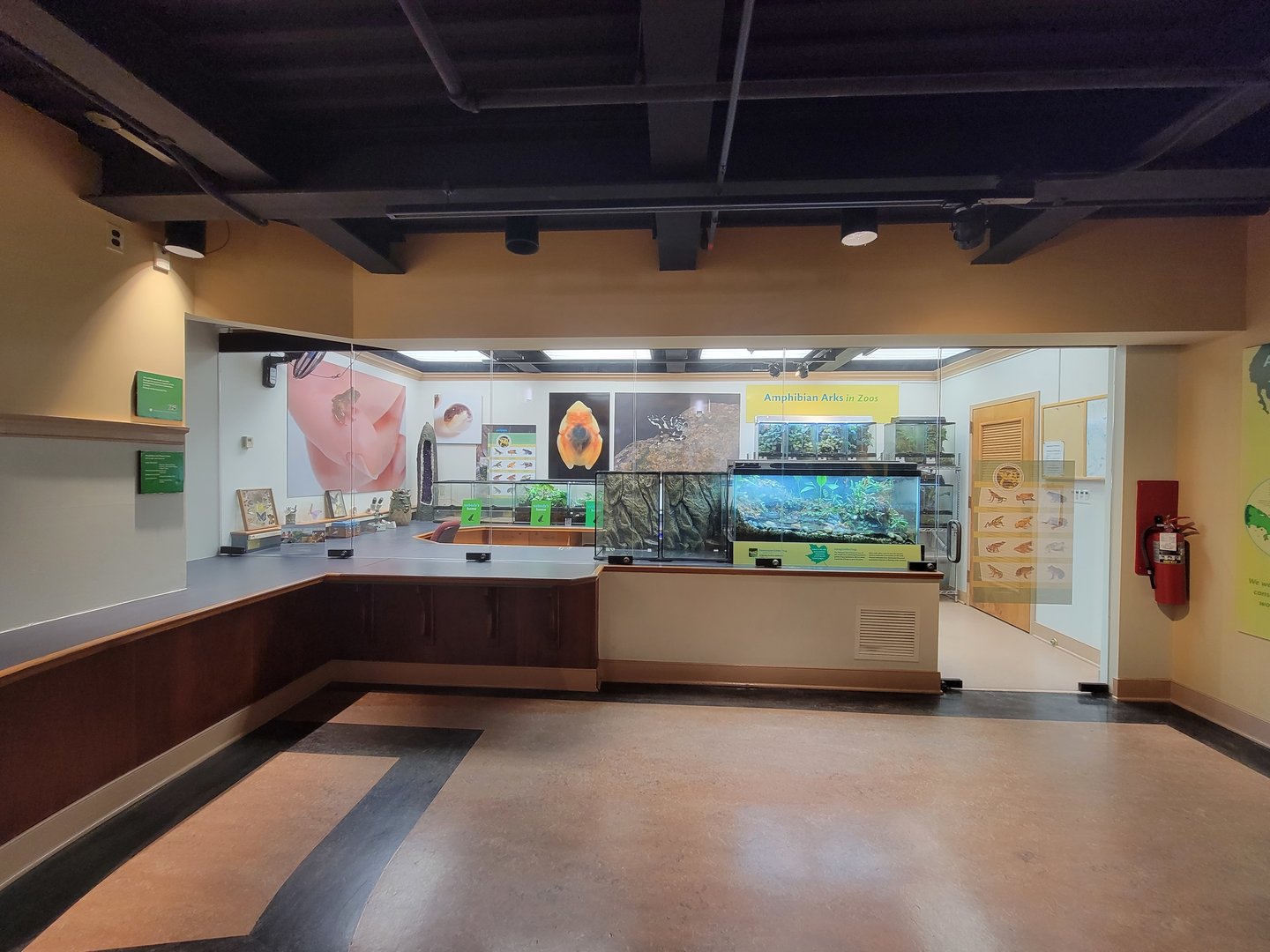 Smithsonian 2/22 - Amazonia, Amphibian Ark room (private)