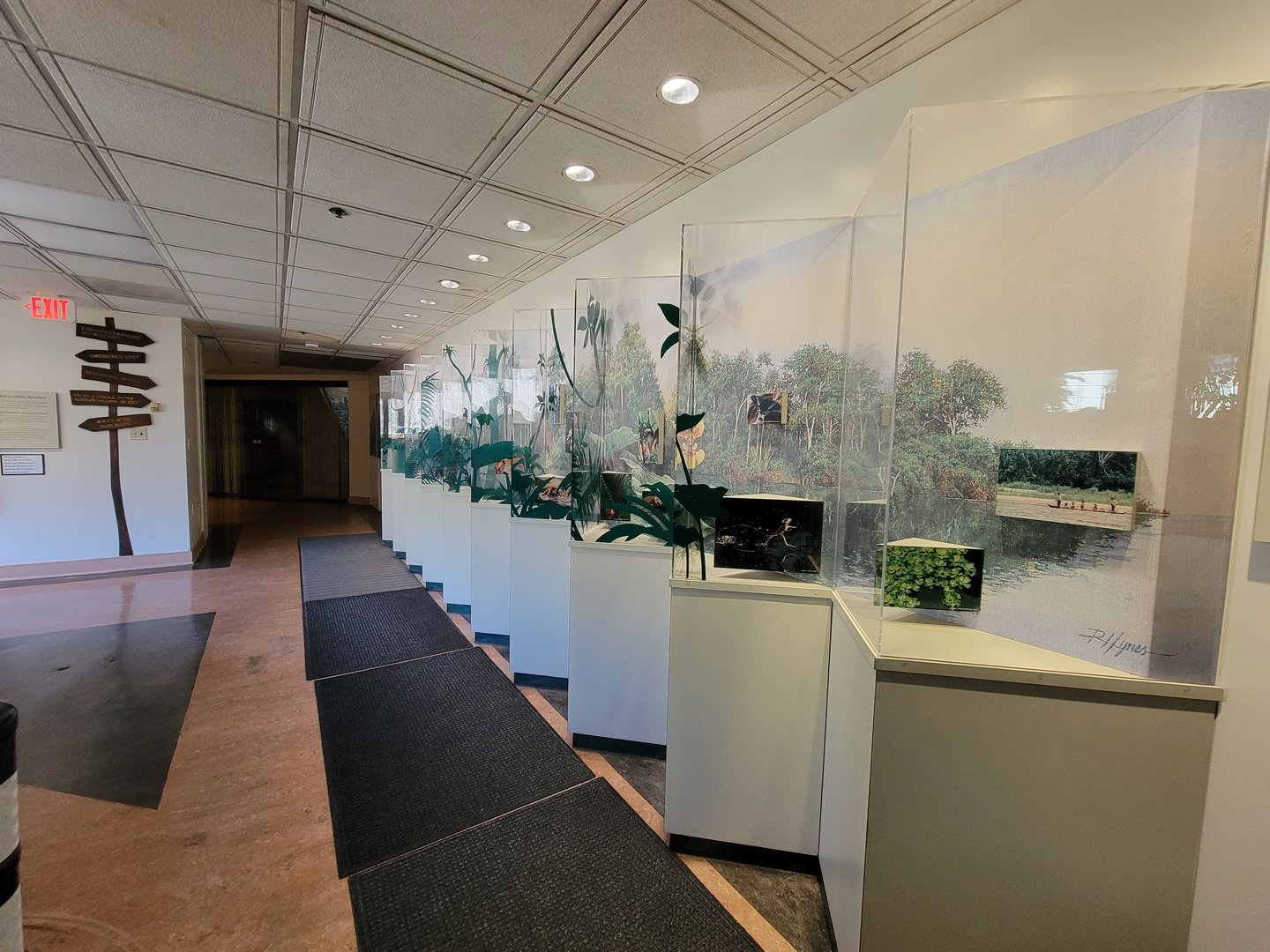 Smithsonian 2/22 - Amazonia, area between free-flight and other staircase