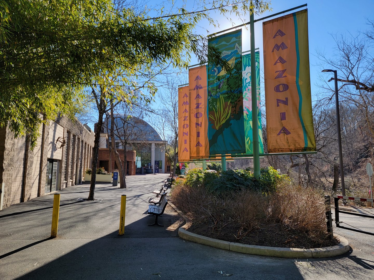 Smithsonian 2/22 - Amazonia area