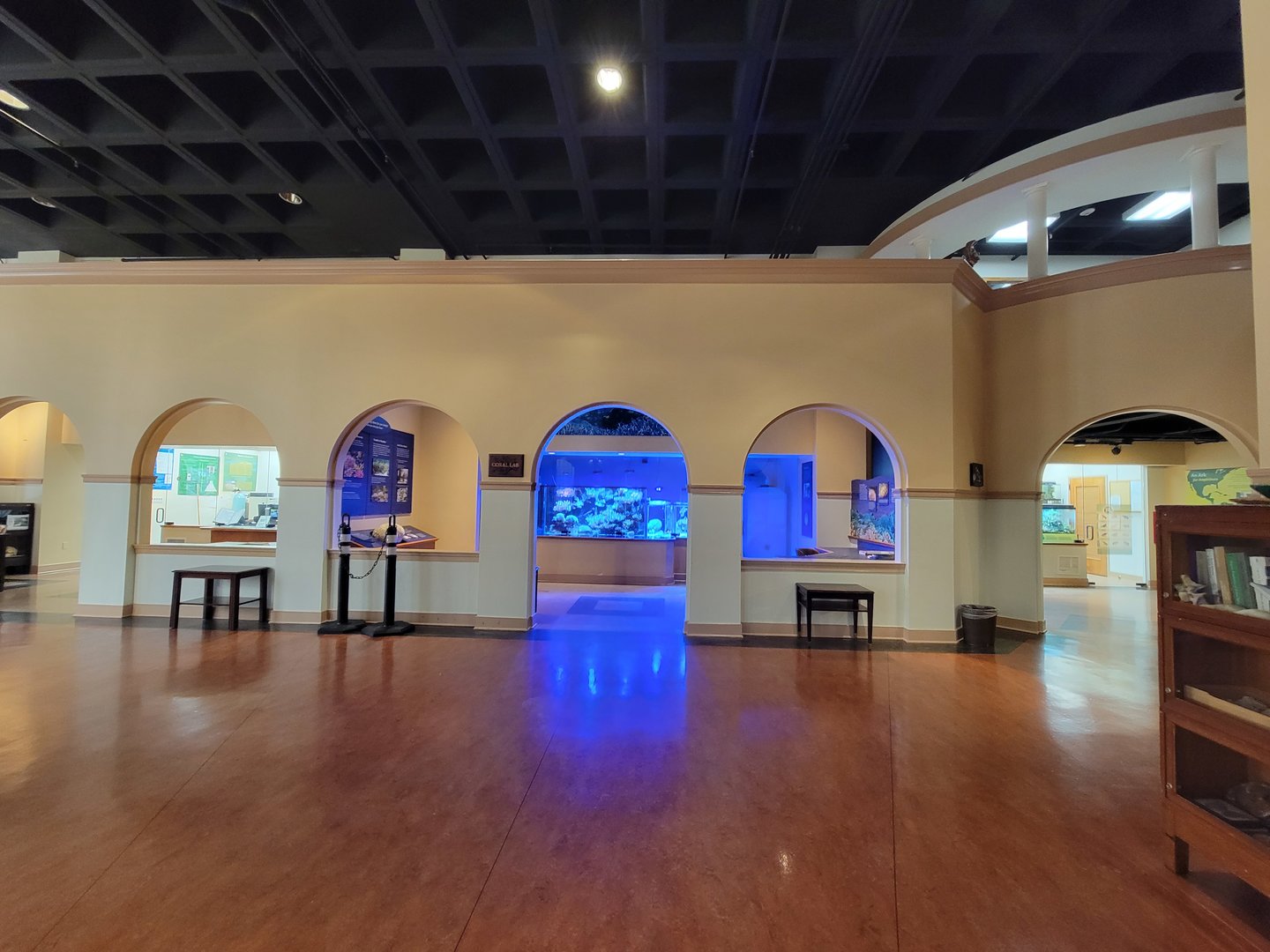 Smithsonian 2/22 - Amazonia, Coral Lab