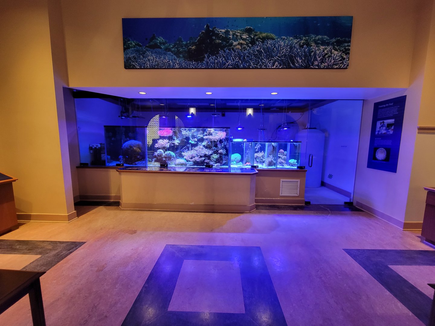 Smithsonian 2/22 - Amazonia, Coral Lab