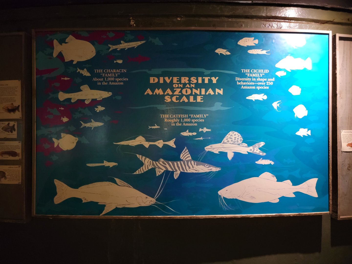 Smithsonian 2/22 - Amazonia, diversity of the Amazon