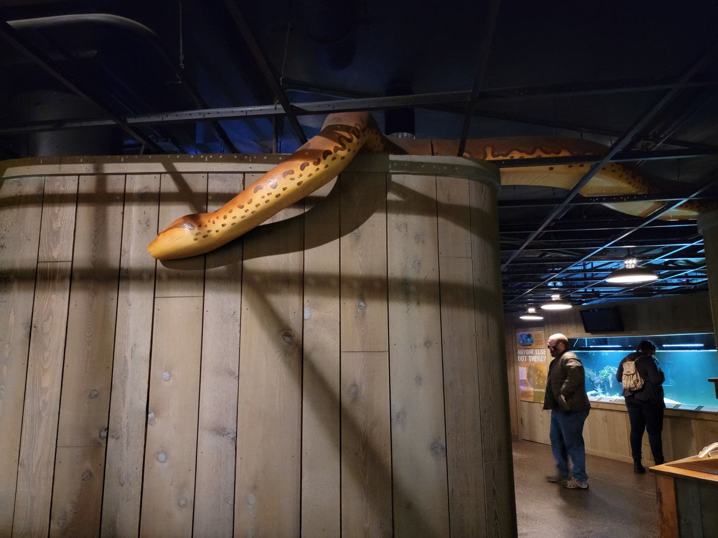 Smithsonian 2/22 - Amazonia, giant Anaconda in the ceiling
