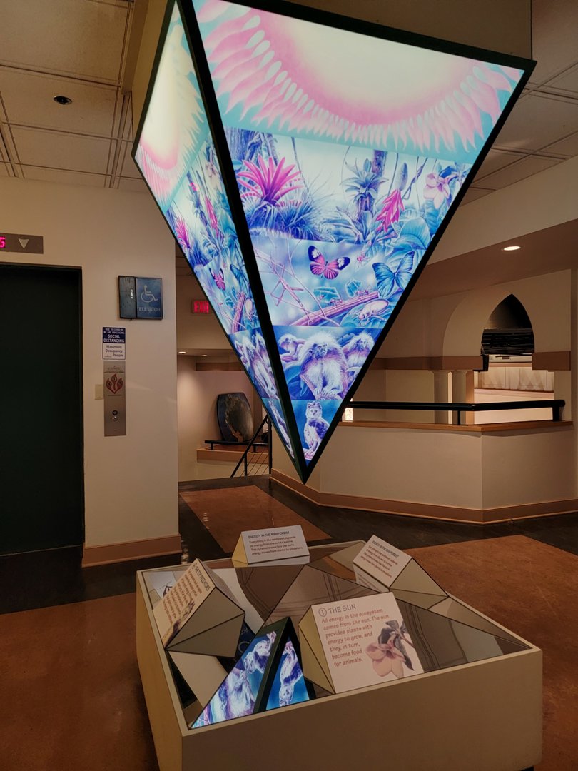 Smithsonian 2/22 - Amazonia, I have no idea what this is