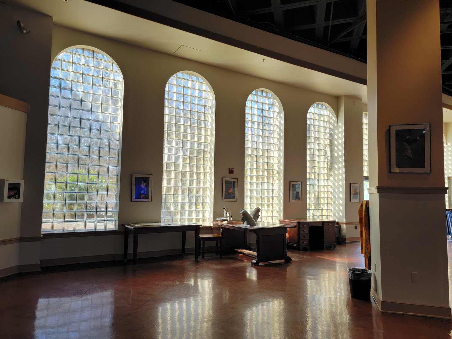 Smithsonian 2/22 - Amazonia, microscope area